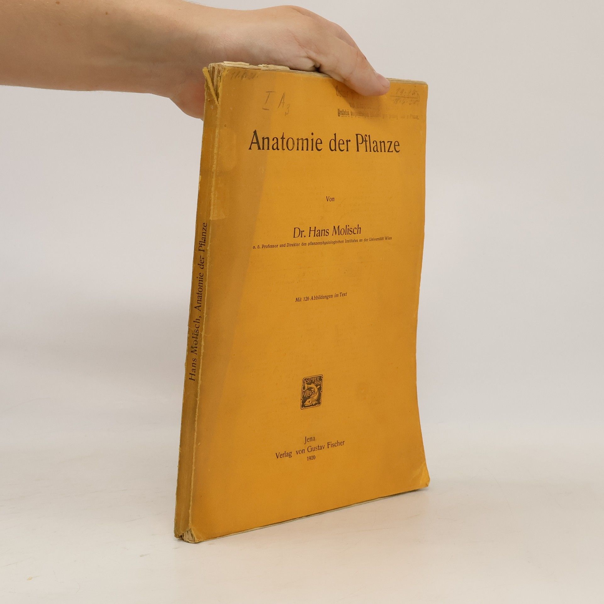 Karl Höfler Anatomie der Pflanze