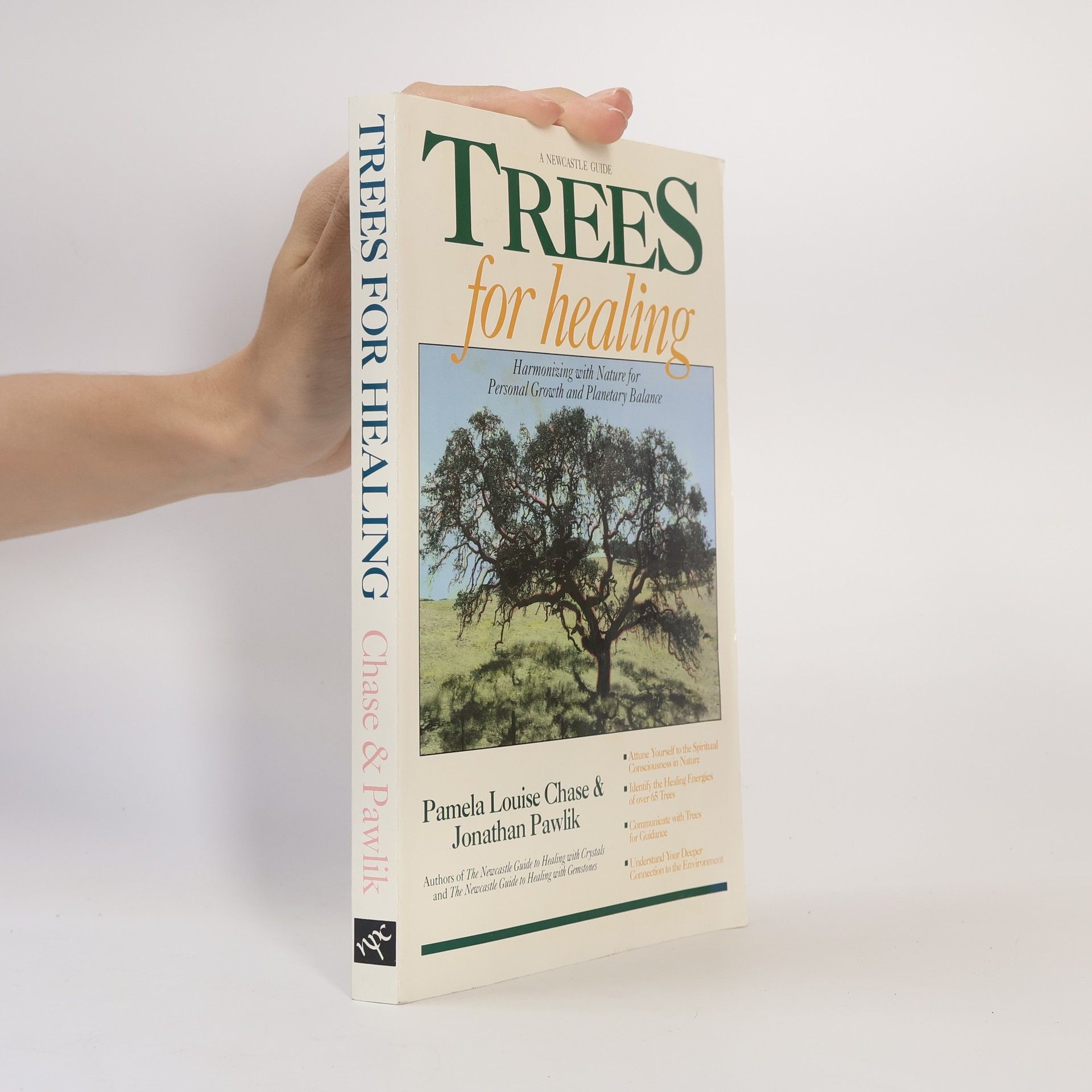 Pamela Louise Chase Trees for Healing