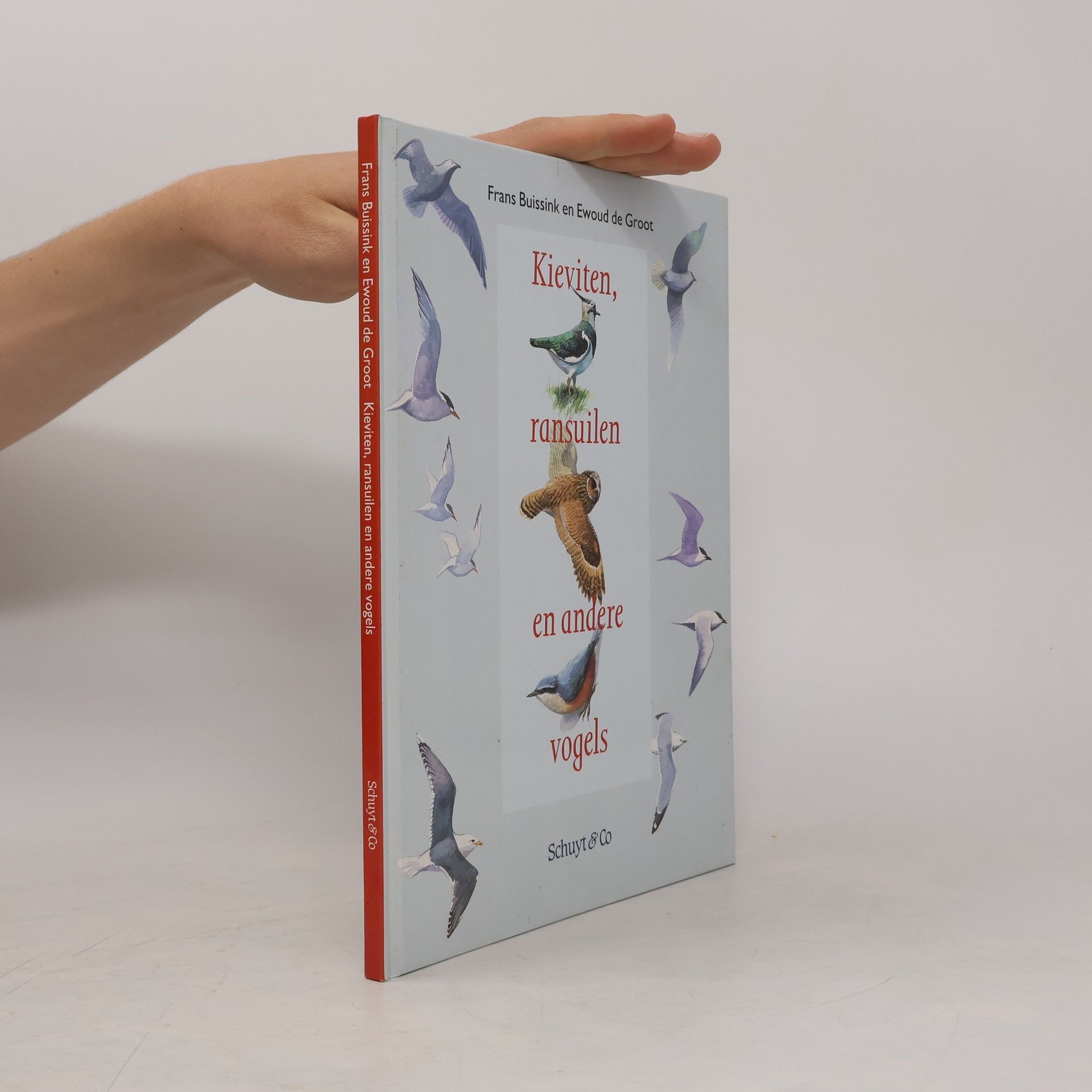 Ewoud de Groot Kieviten, ransuilen en andere vogels