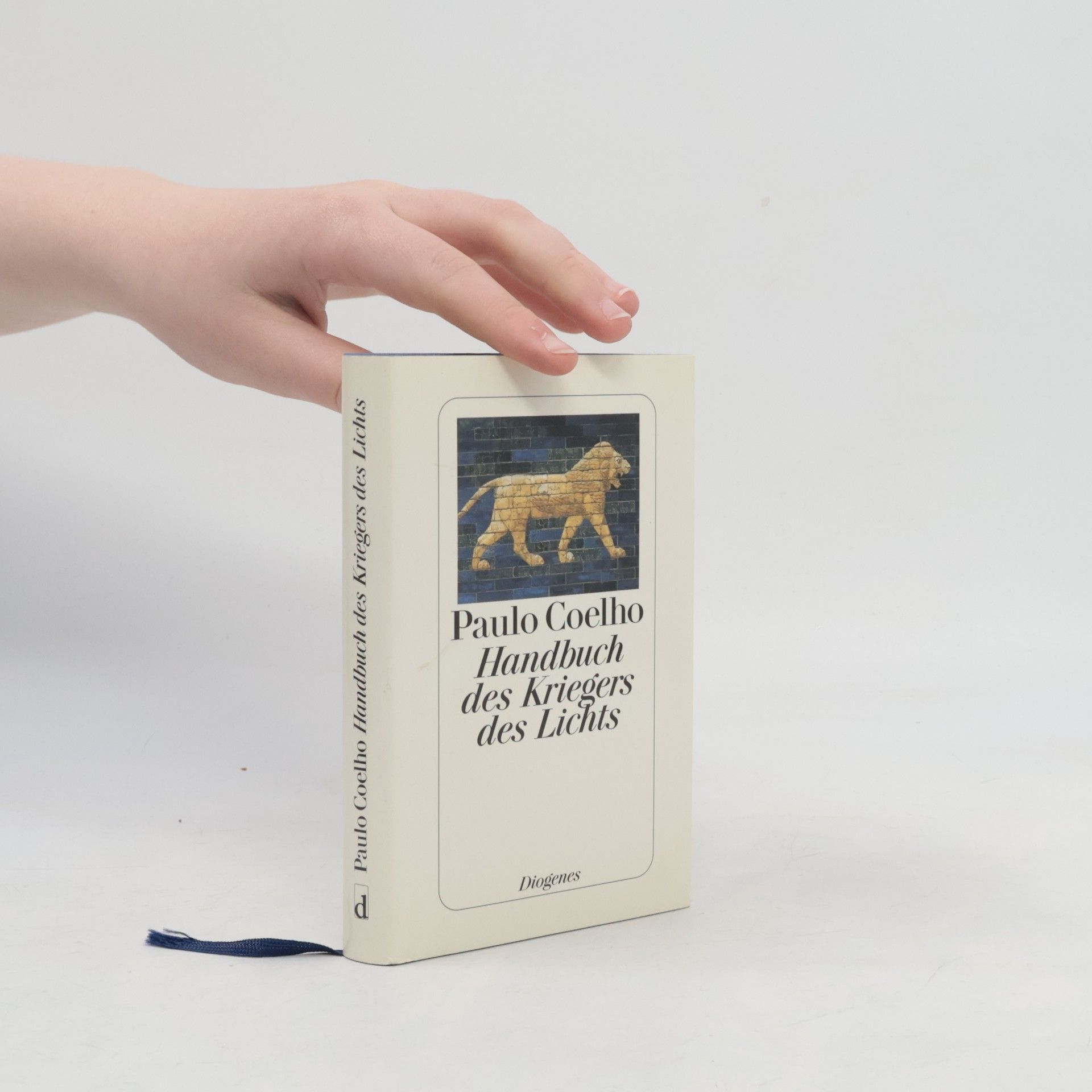 Handbuch des Kriegers des Lichts