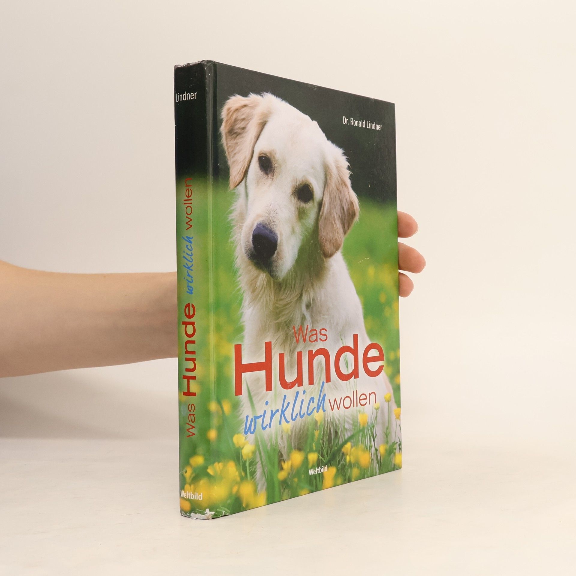 Ronald Lindner Was Hunde wirklich wollen