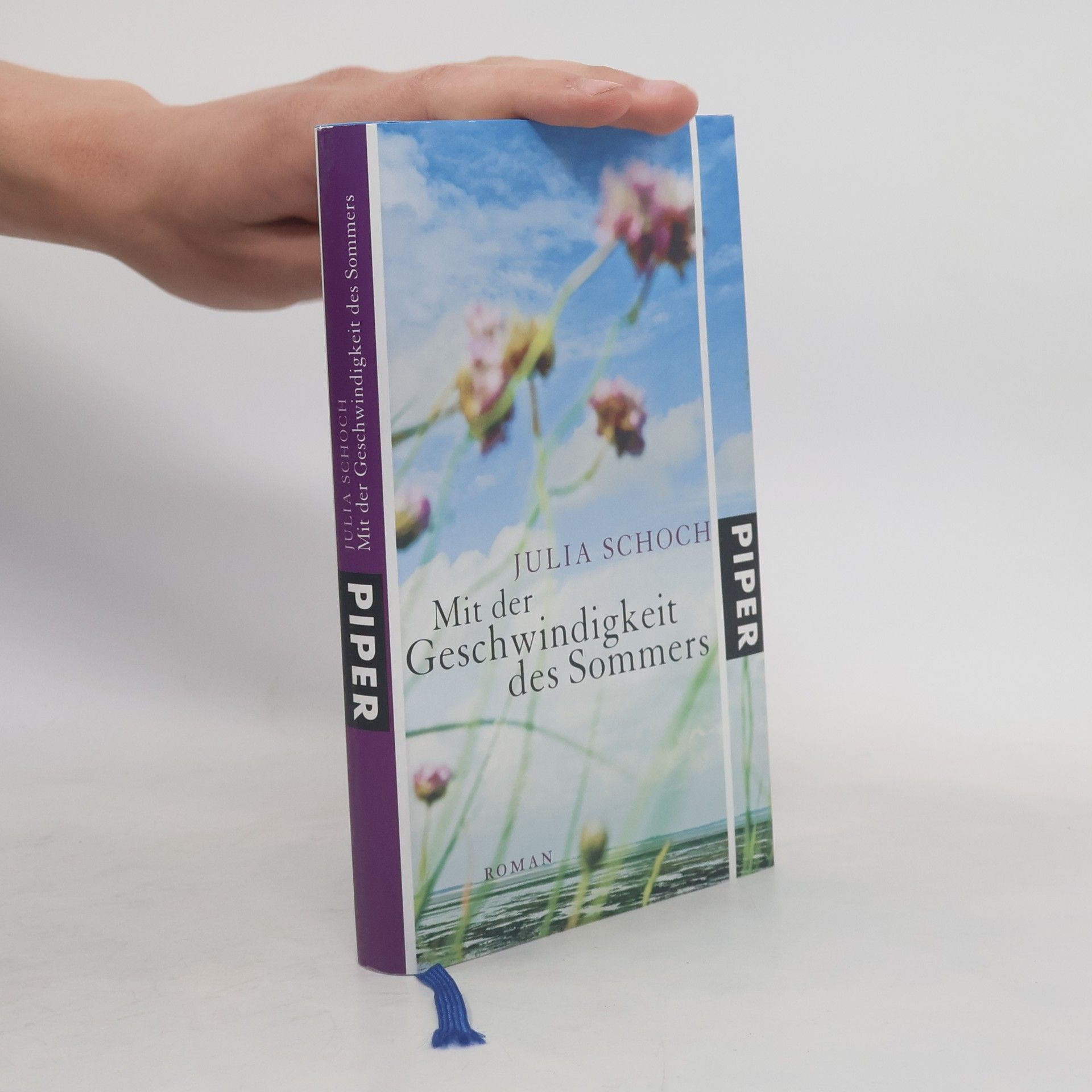 Julia Schoch Mit der Geschwindigkeit des Sommers