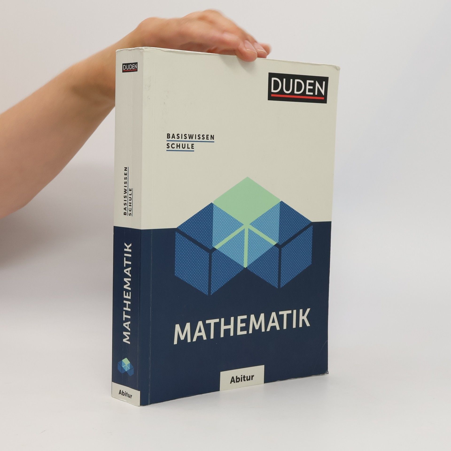 Basiswissen Schule - Mathematik Abitur