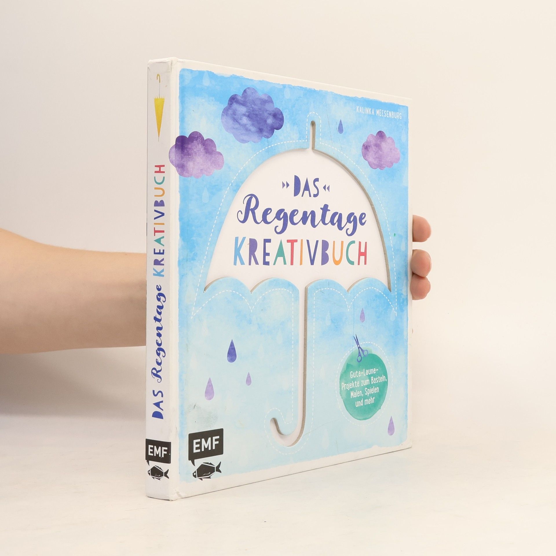 Kalinka Meesenburg Das Regentage Kreativbuch