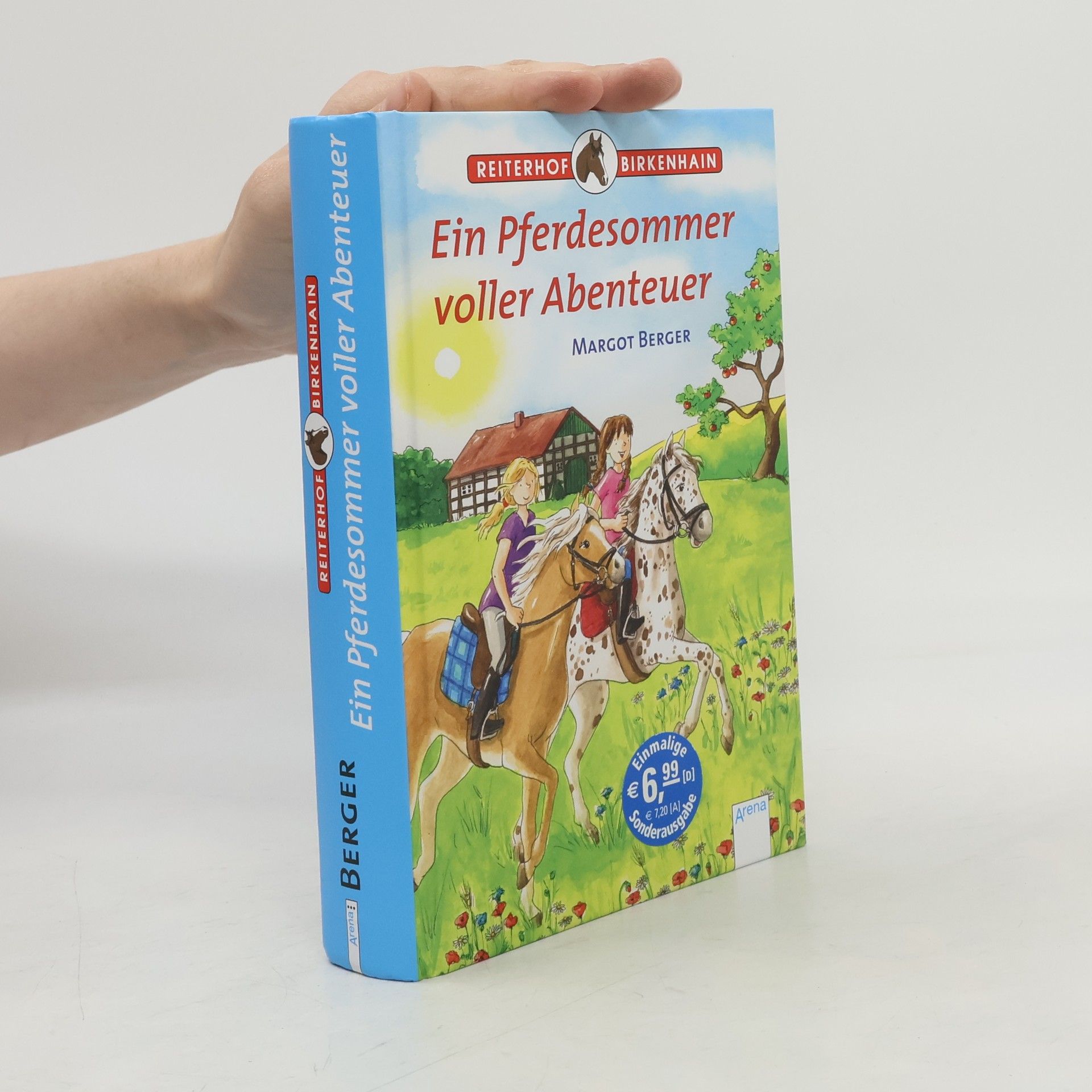 Margot Berger Ein Pferdesommer voller Abenteuer