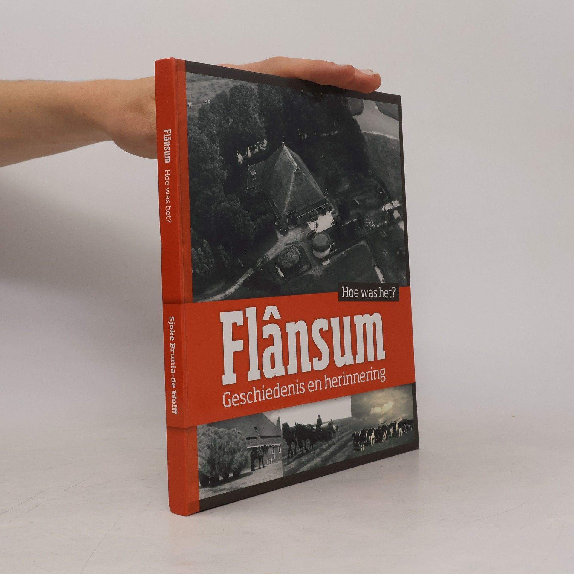 Kolektiv autorů Flansum