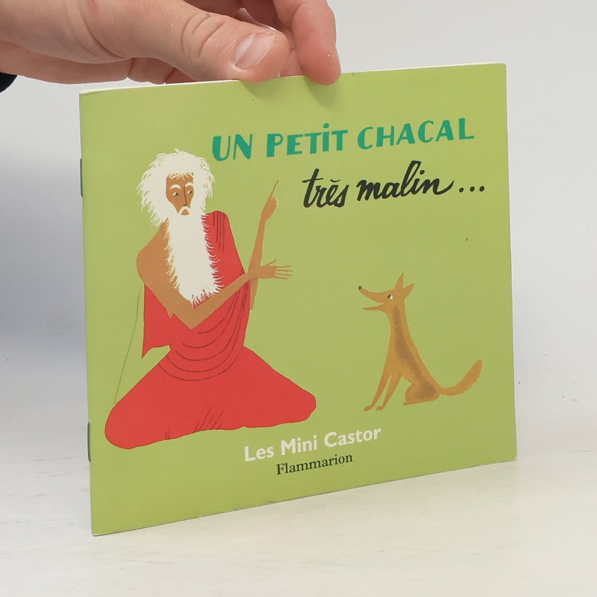 Un petit chacal très malin...