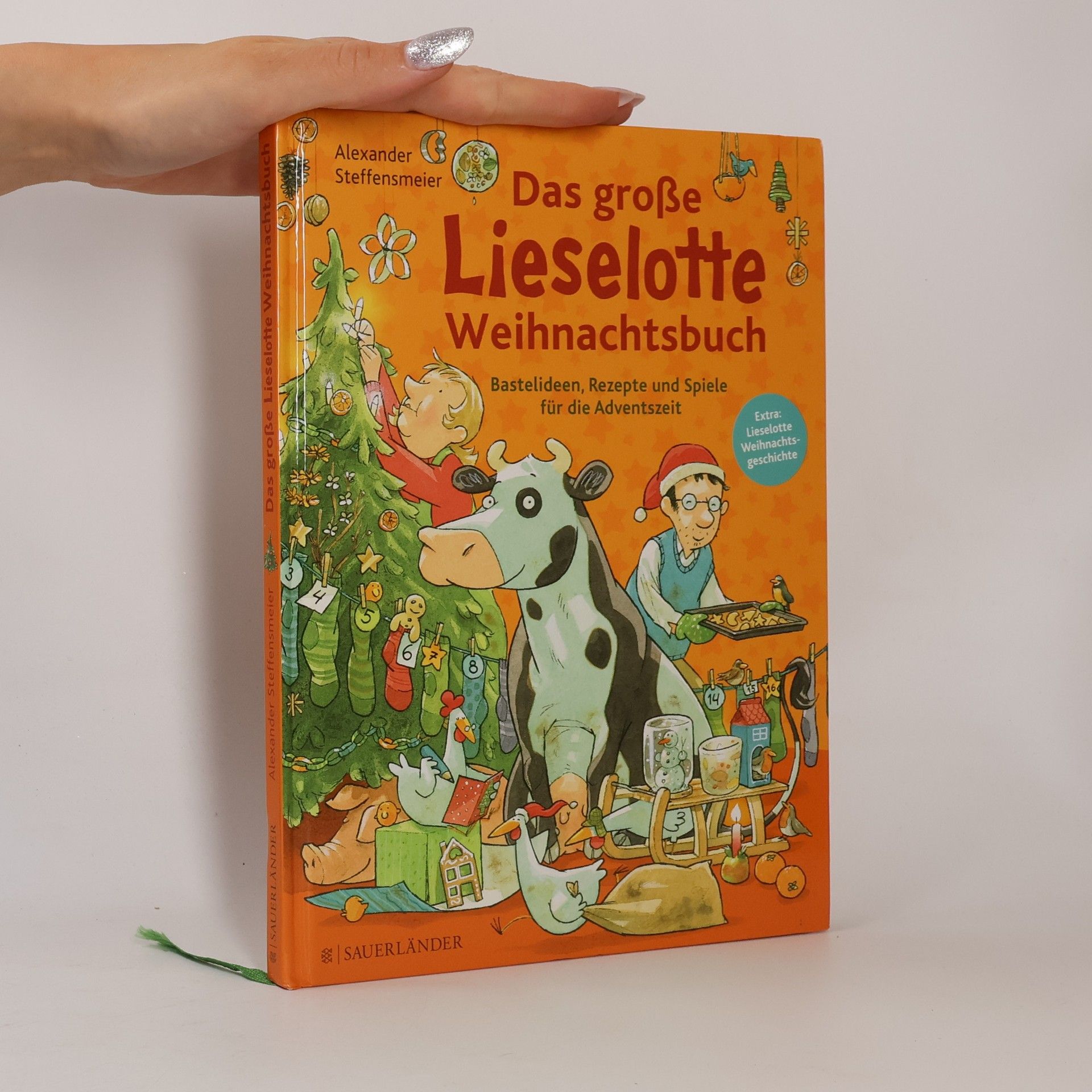 Alexander Steffensmeier Das große Lieselotte-Weihnachtsbuch