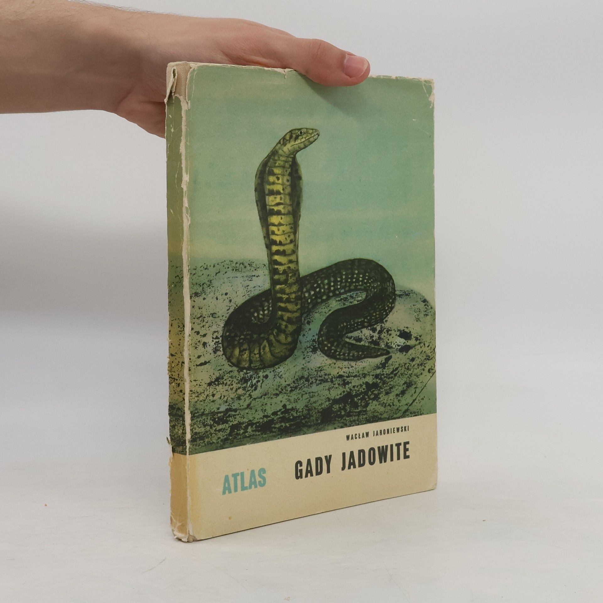 Wacław Jaroniewski Gady jadowite