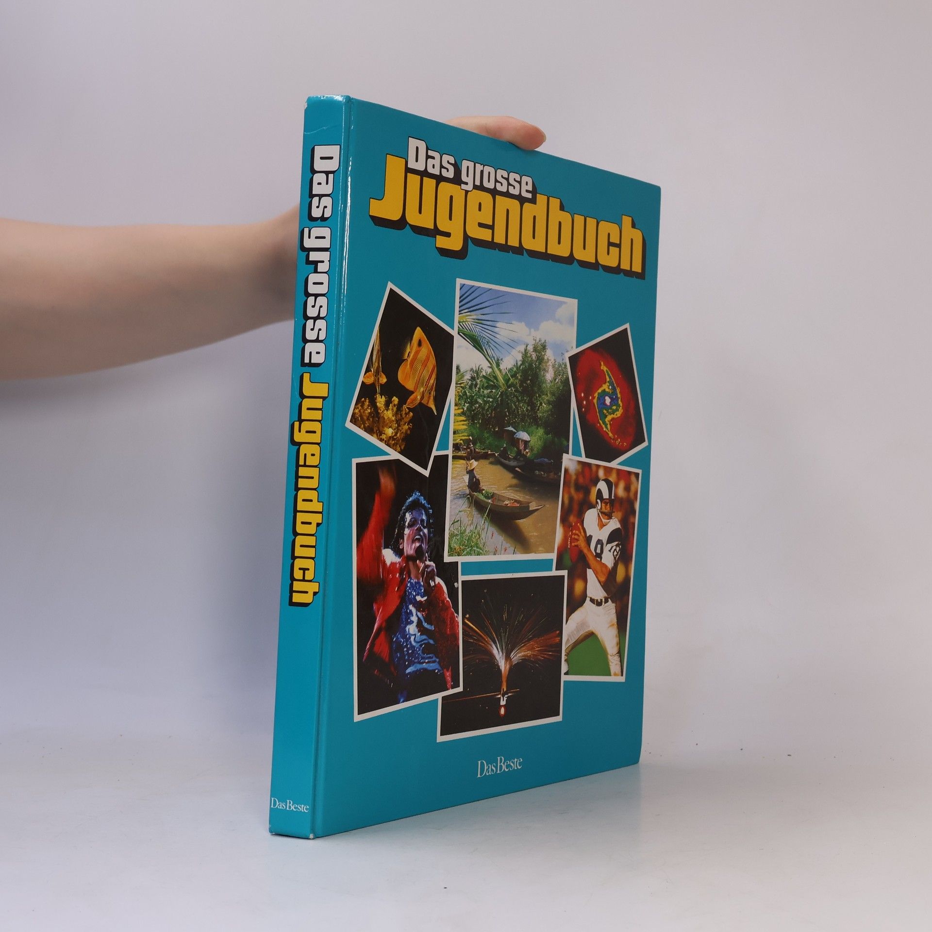 Kolektiv autorů Das große Jugendbuch