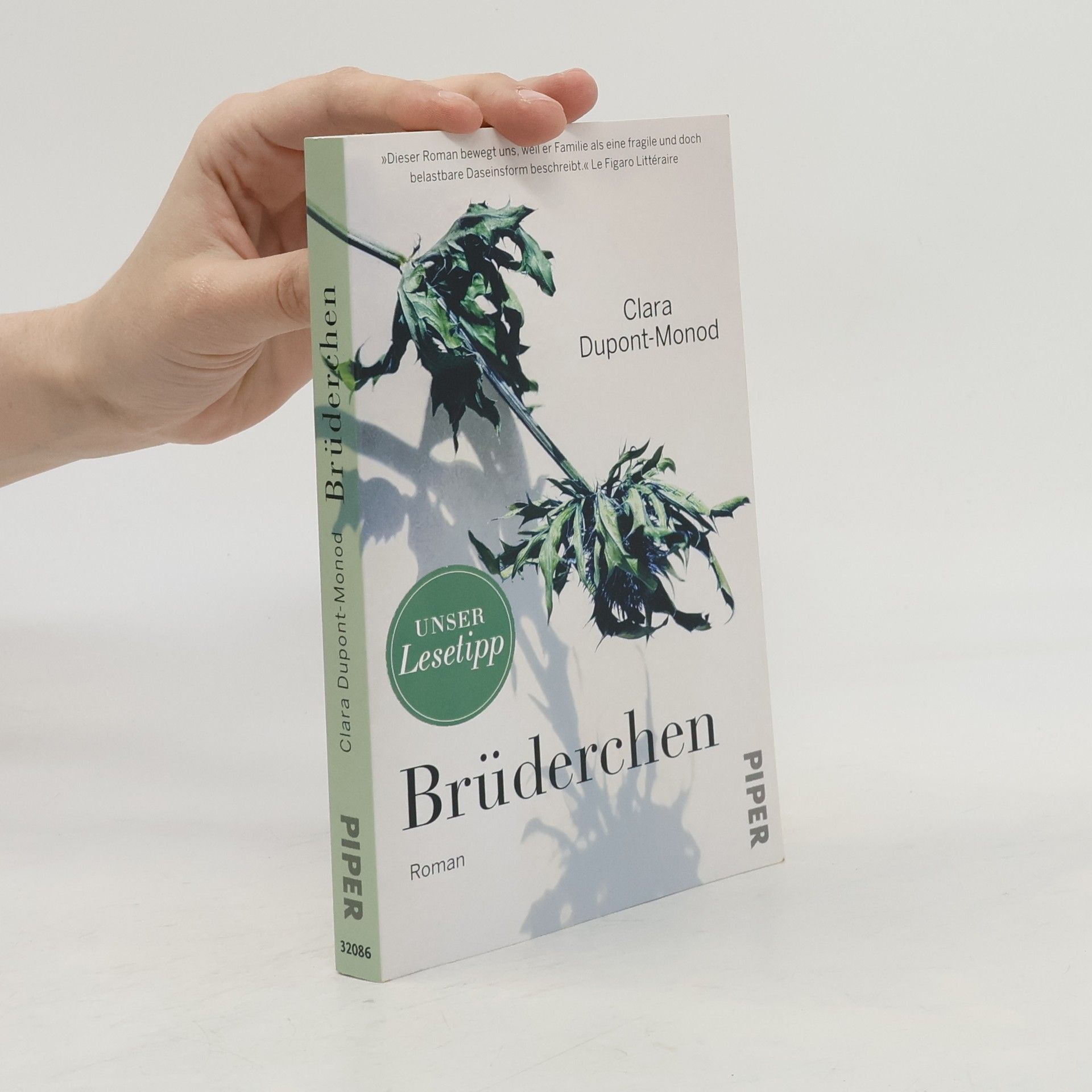 Clara Dupont-Monod Brüderchen