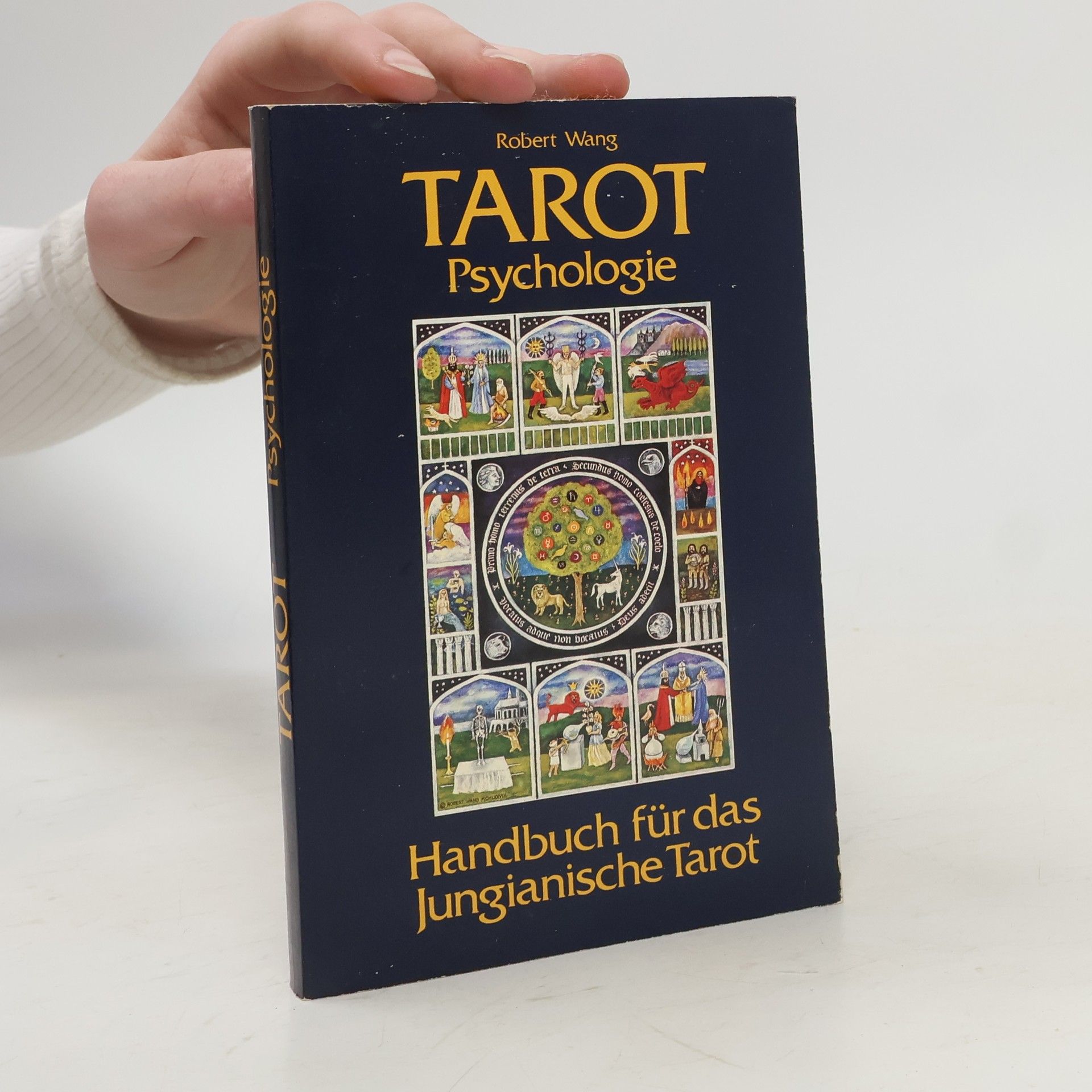 Robert Wang Tarot Psychologie