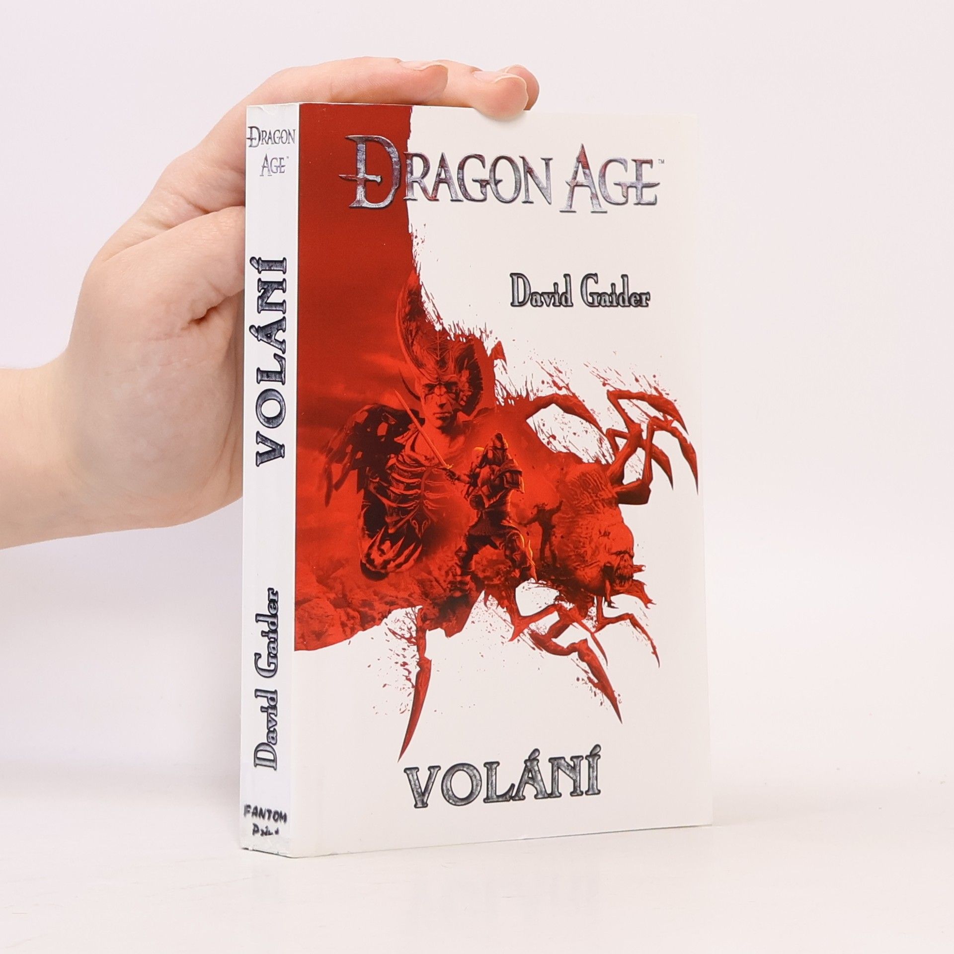 David Gaider Dragon age. Volání