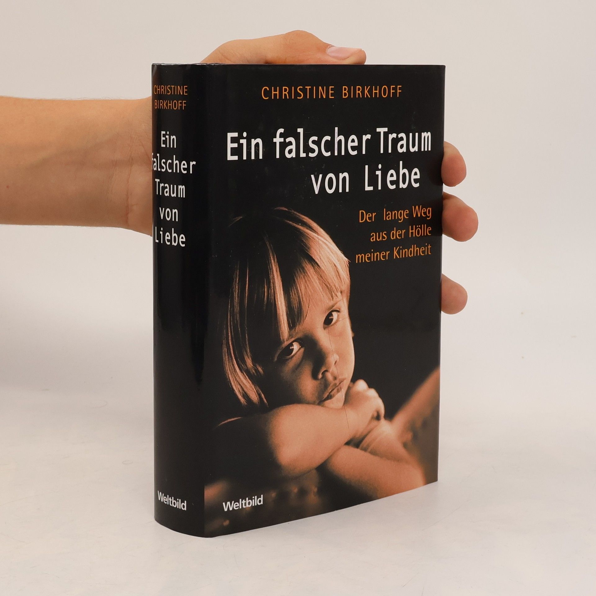 Christine Birkhoff Ein falscher Traum von Liebe