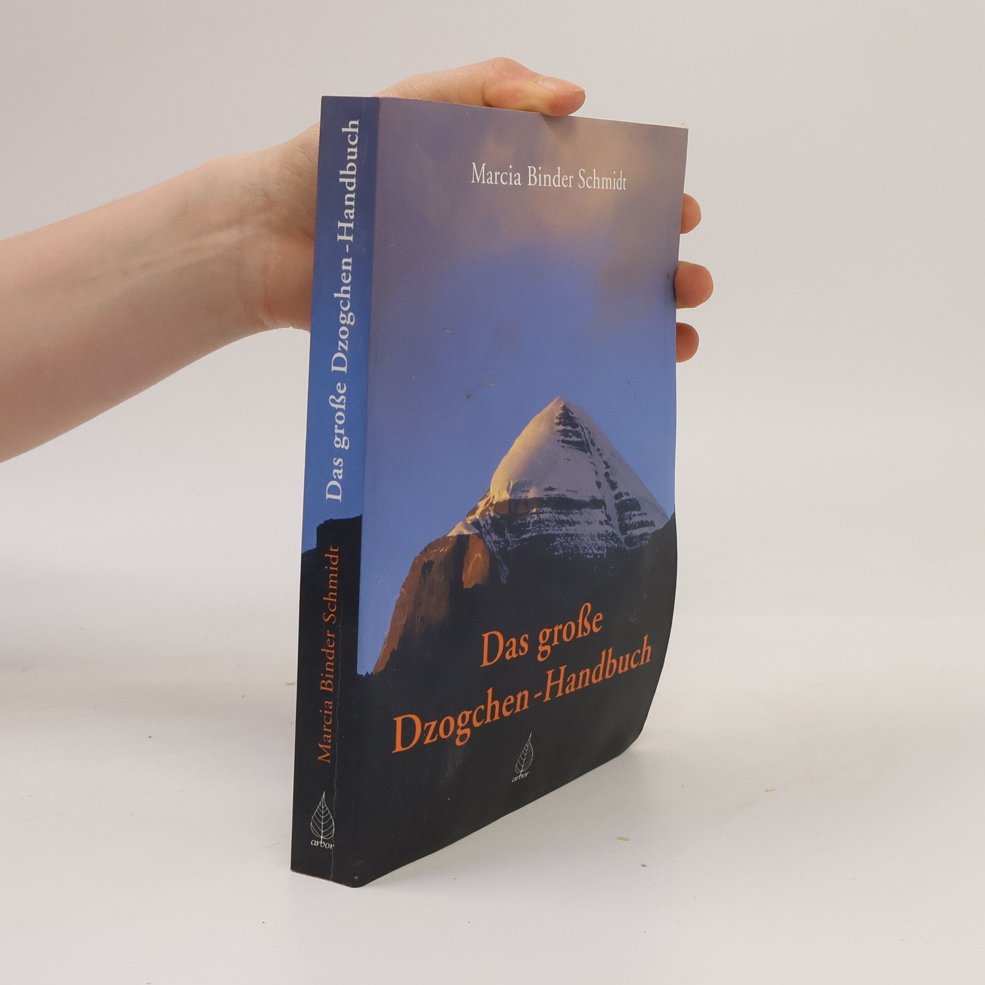 Marcia Dechen Wangmo Das große Dzogchen-Handbuch
