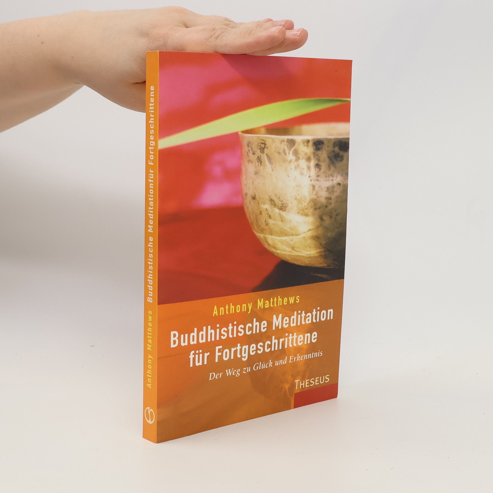 Anthony Matthews Buddhistische Meditation für Fortgeschrittene