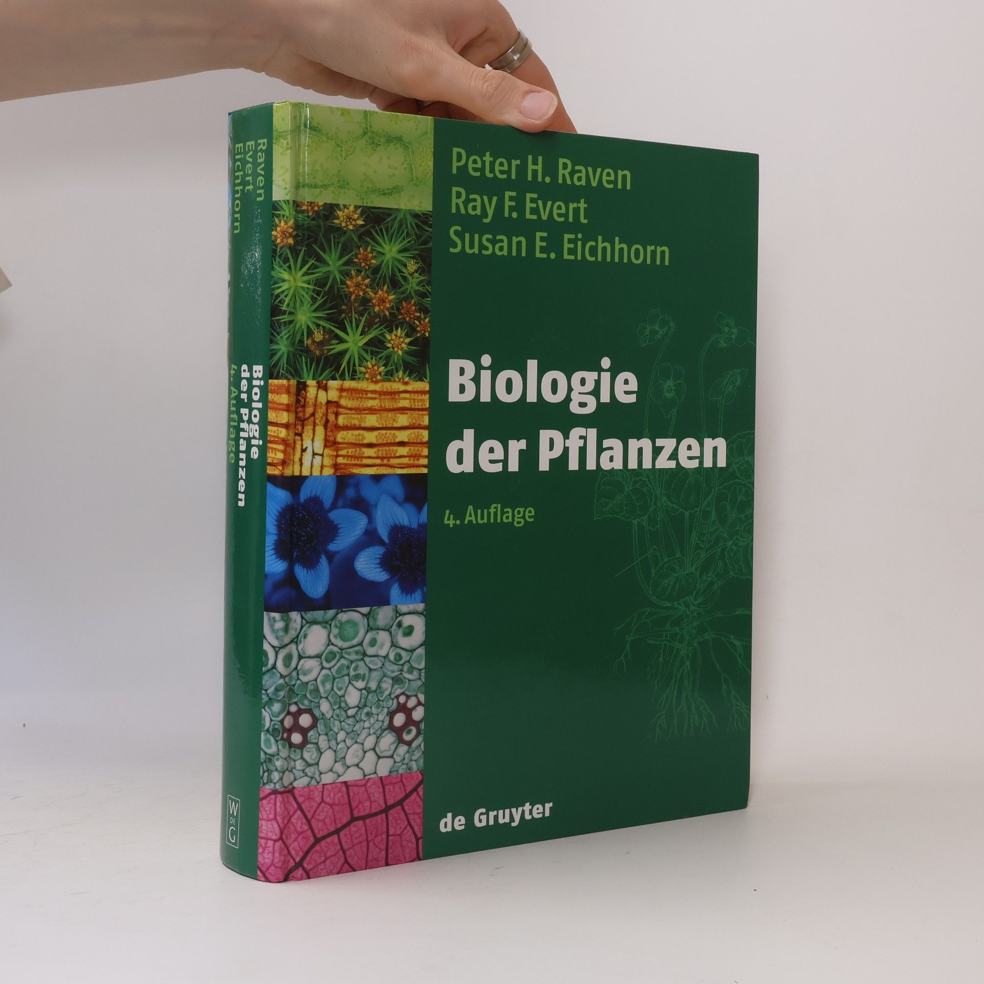 Peter H. Raven Biologie der Pflanzen