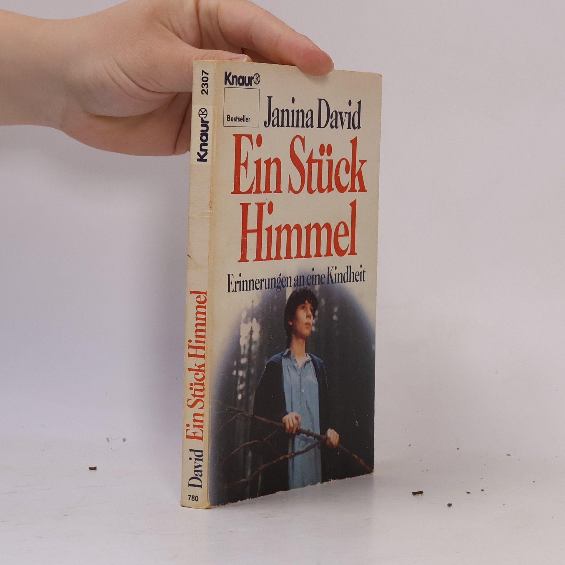 Janina David Ein Stück Himmel