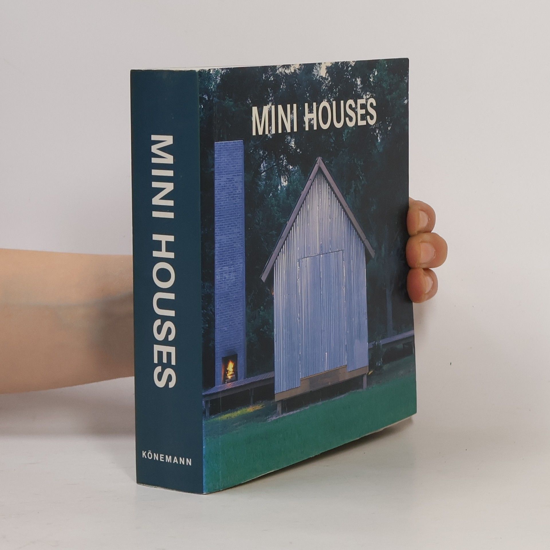 Kolektív autorov Mini houses