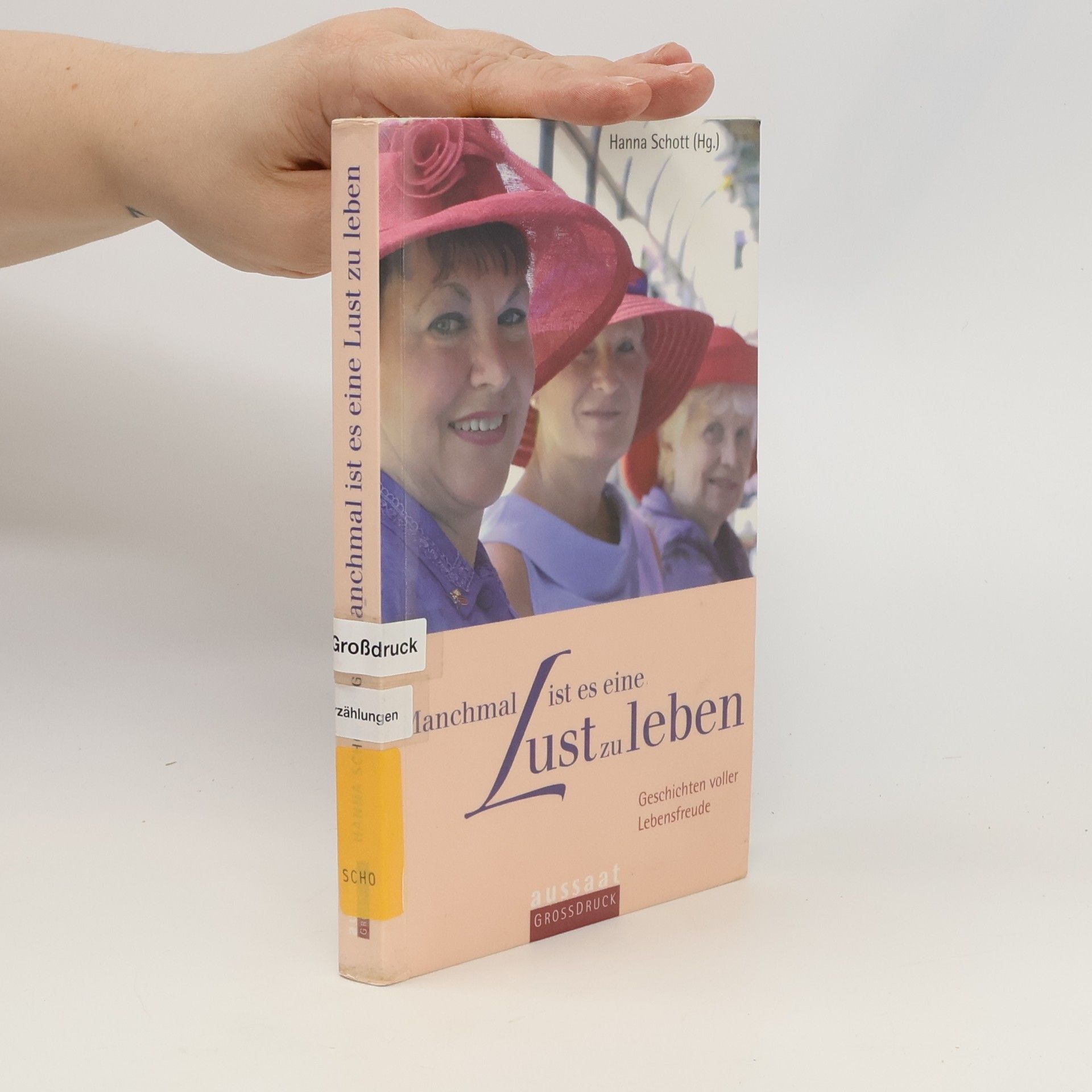 Hanna Schott Manchmal ist es eine Lust zu leben. Geschichten voller Lebensfreude. (Großdruck)