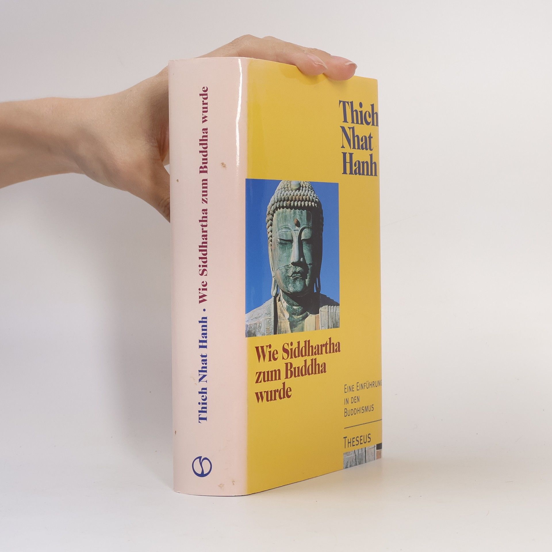 Hạnh Nhat Wie Siddhartha zum Buddha wurde