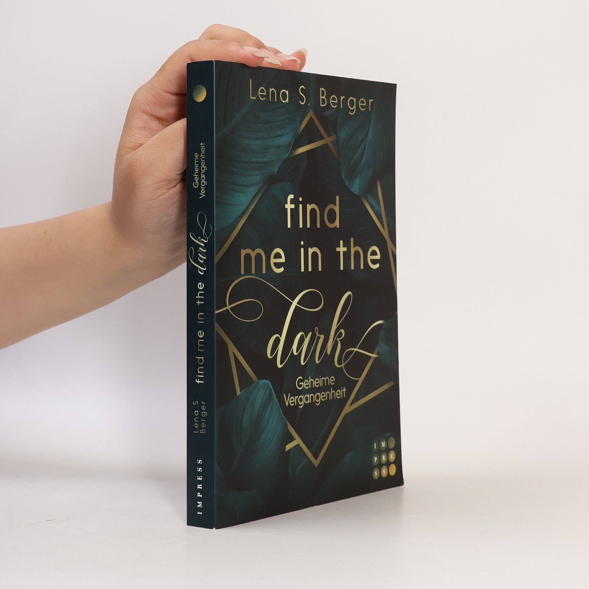 Lena S. Berger Find Me in the Dark. Geheime Vergangenheit