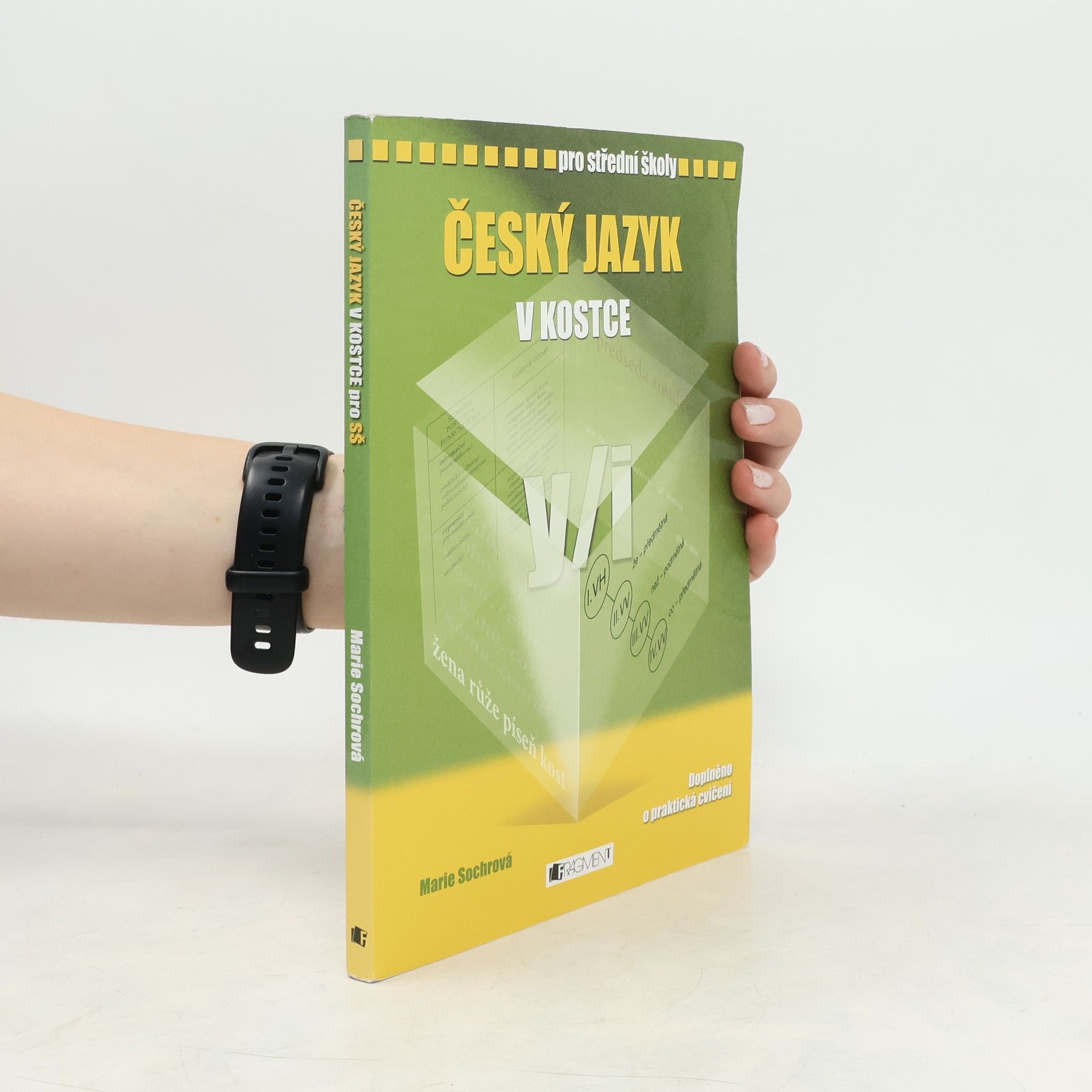 Marie Sochrová Český jazyk v kostce : pro střední školy