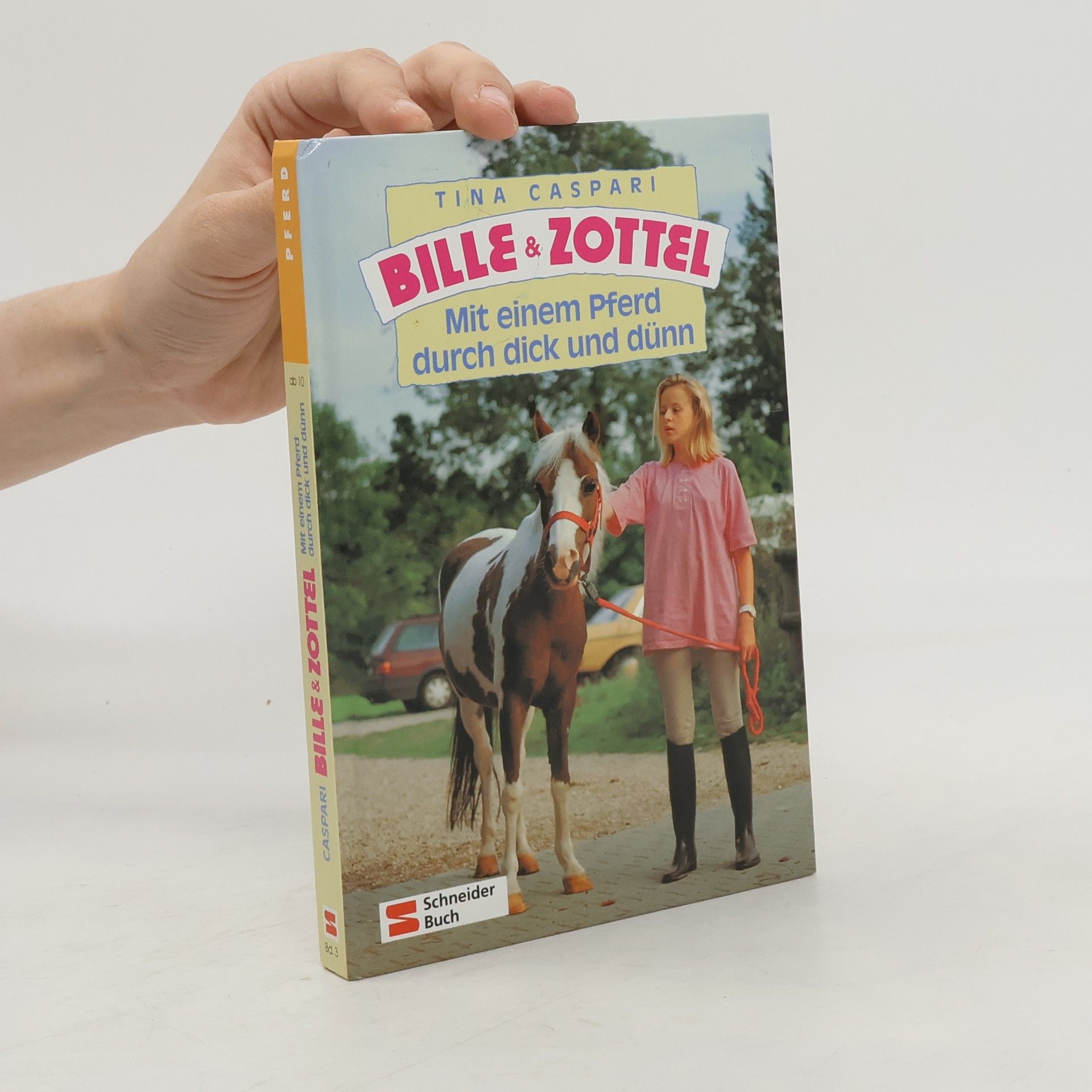 Bille und Zottel. Mit einem Pferd durch dick und dünn