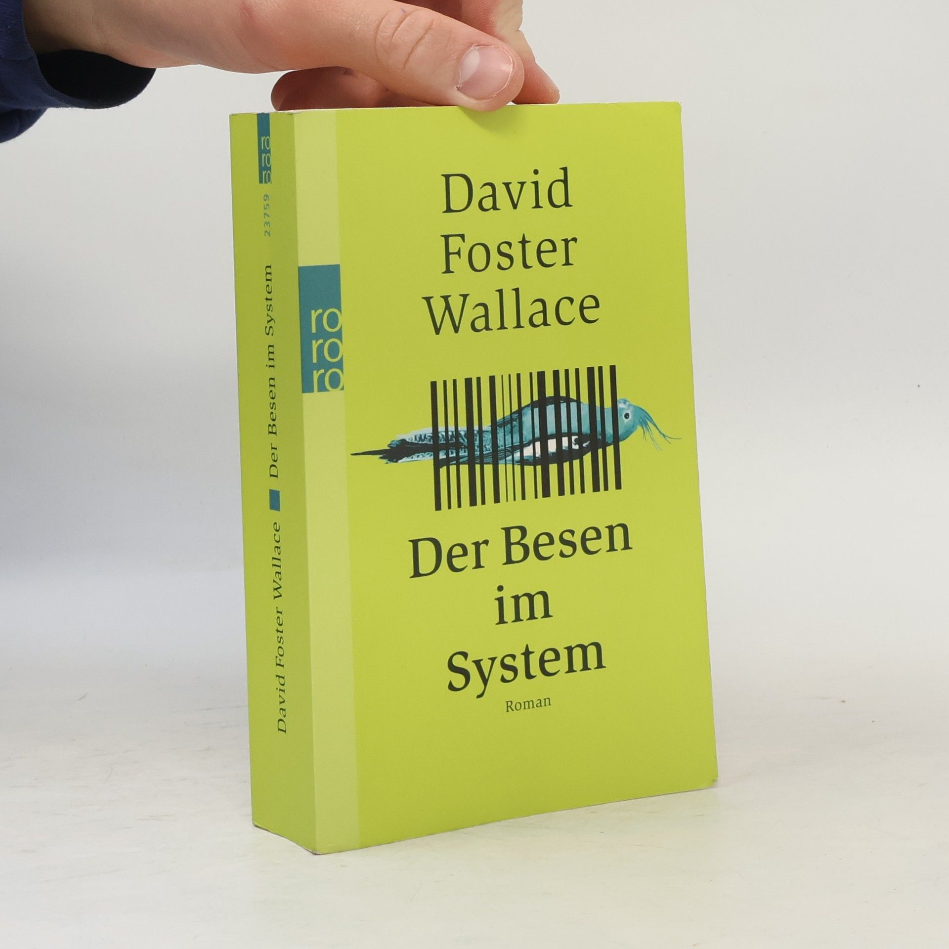 David Foster Wallace Der Besen im System