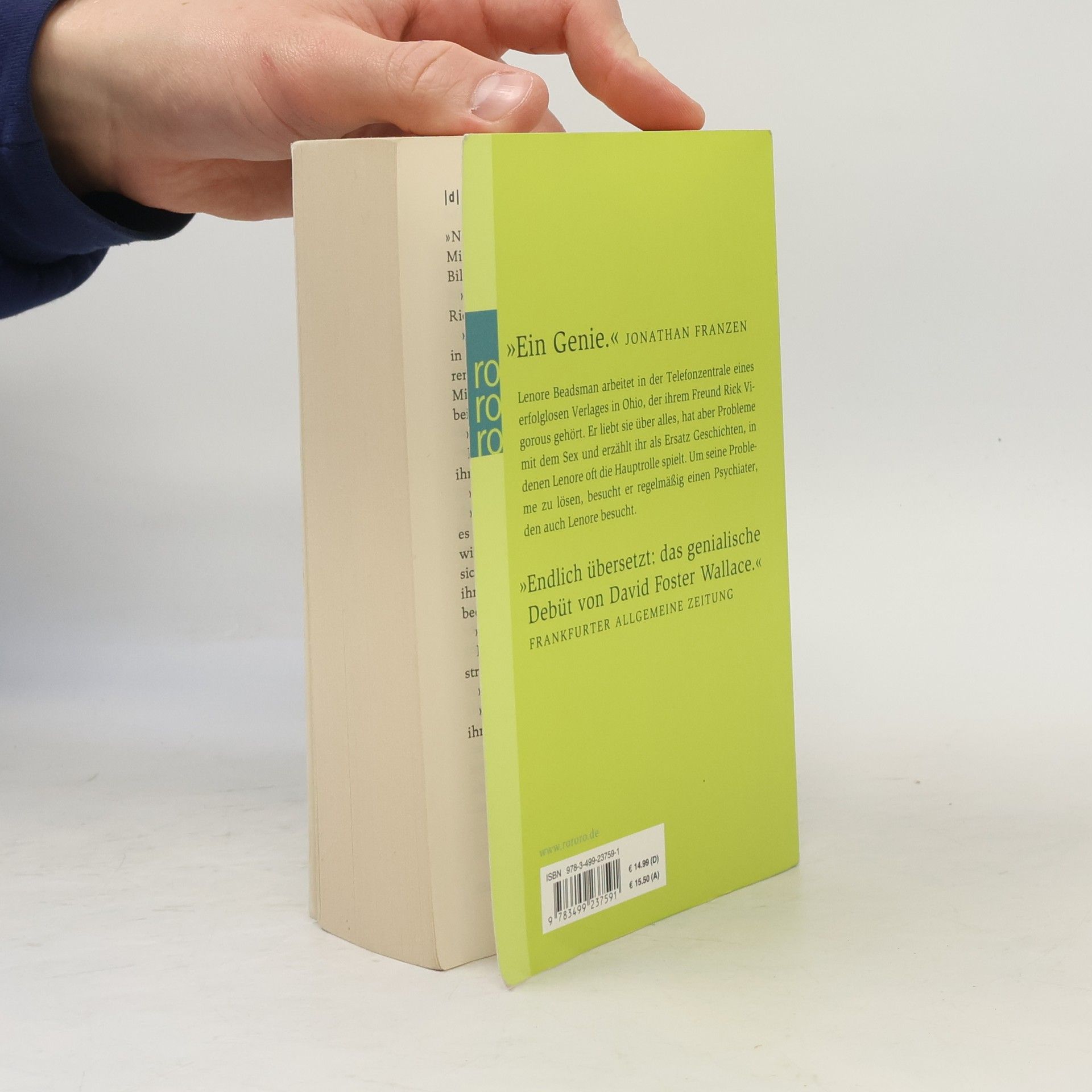 David Foster Wallace Der Besen im System