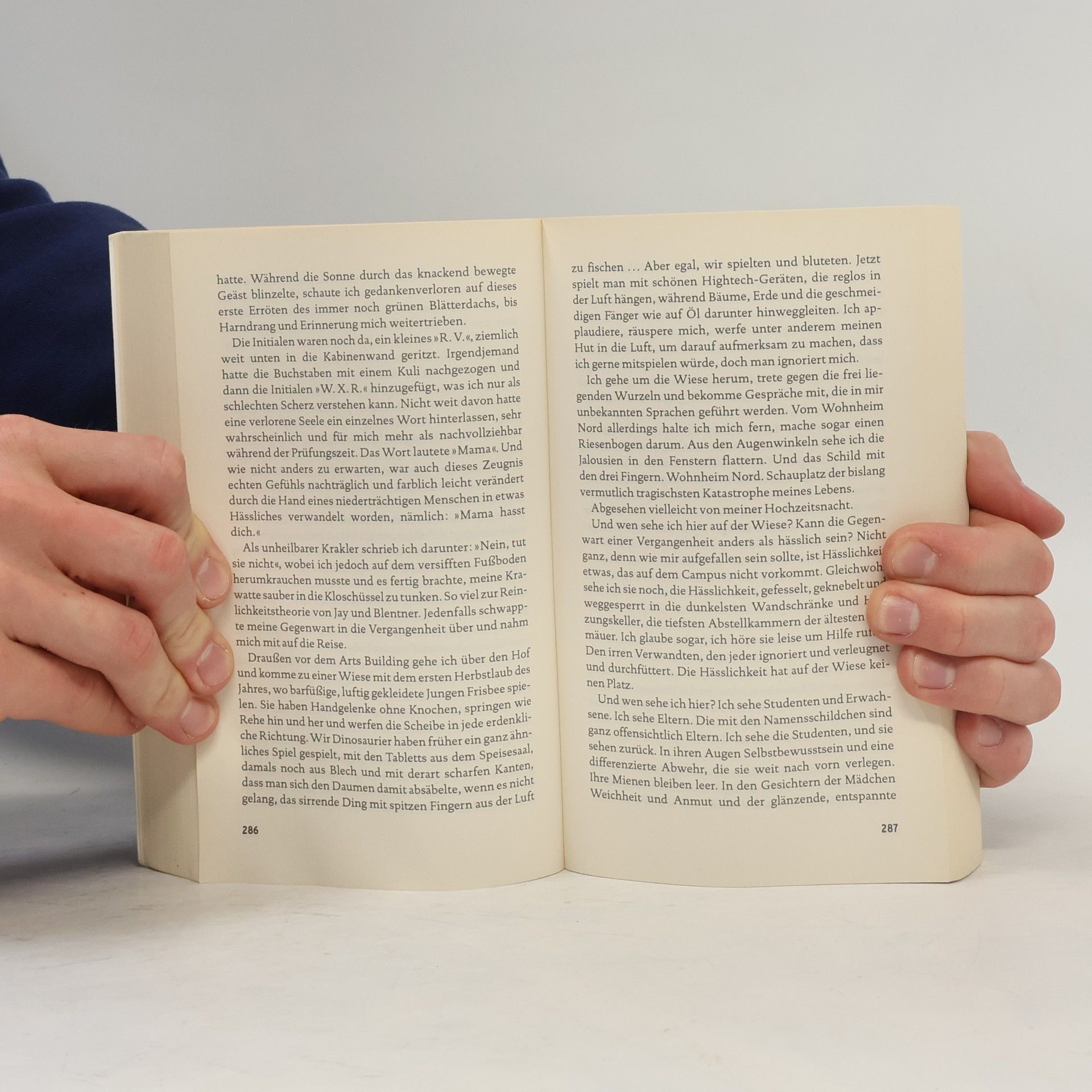 David Foster Wallace Der Besen im System