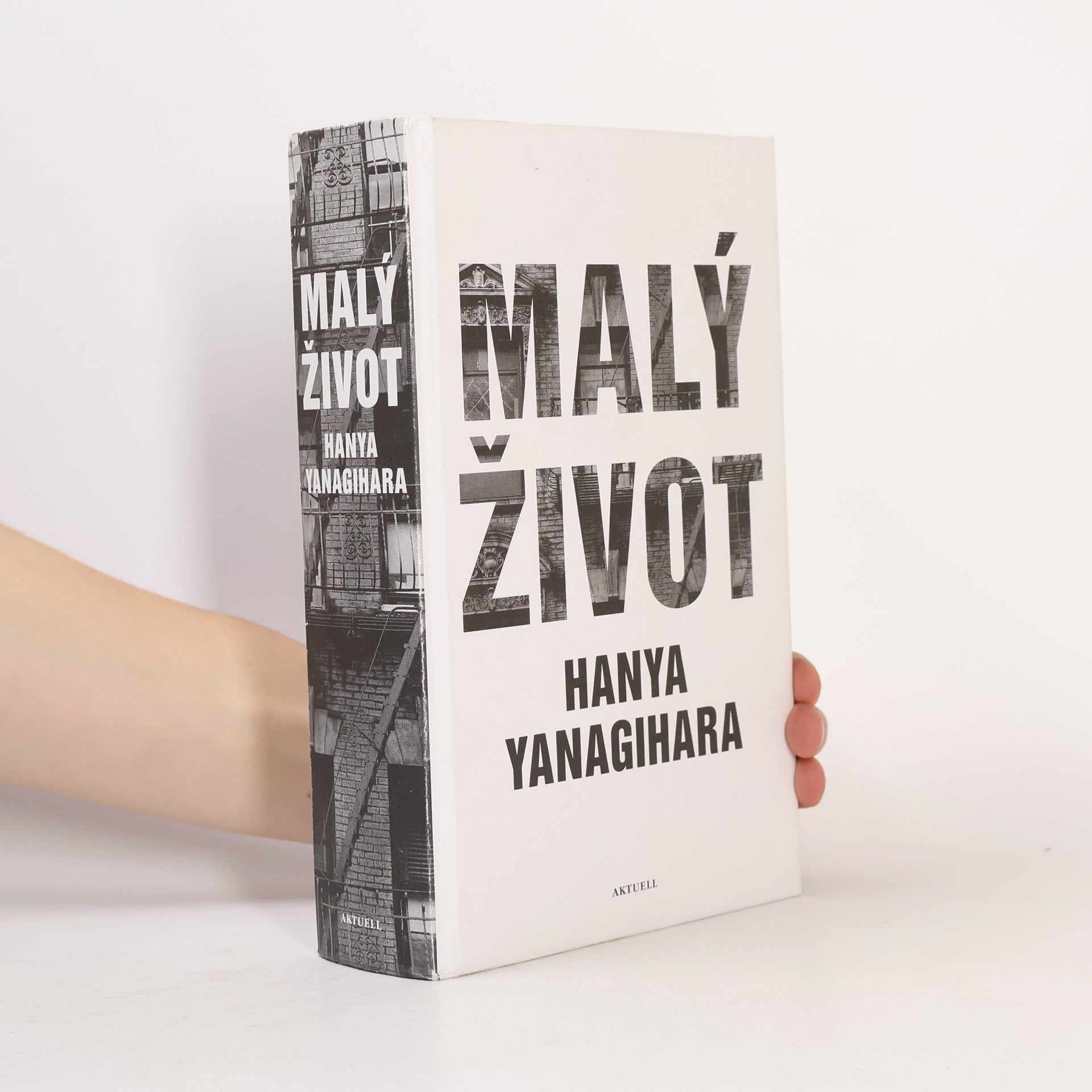 Hanya Yanagihara Malý život
