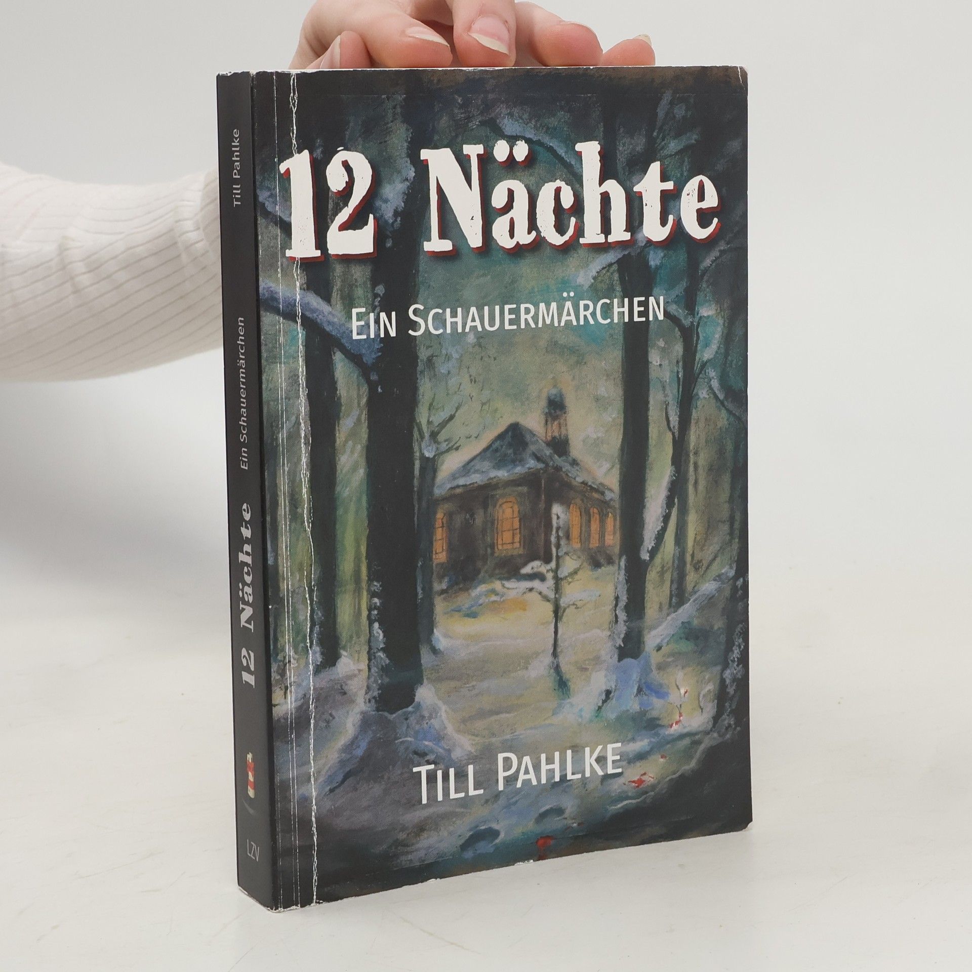 Autorenkollektiv 12 Nächte. Ein Schauermärchen