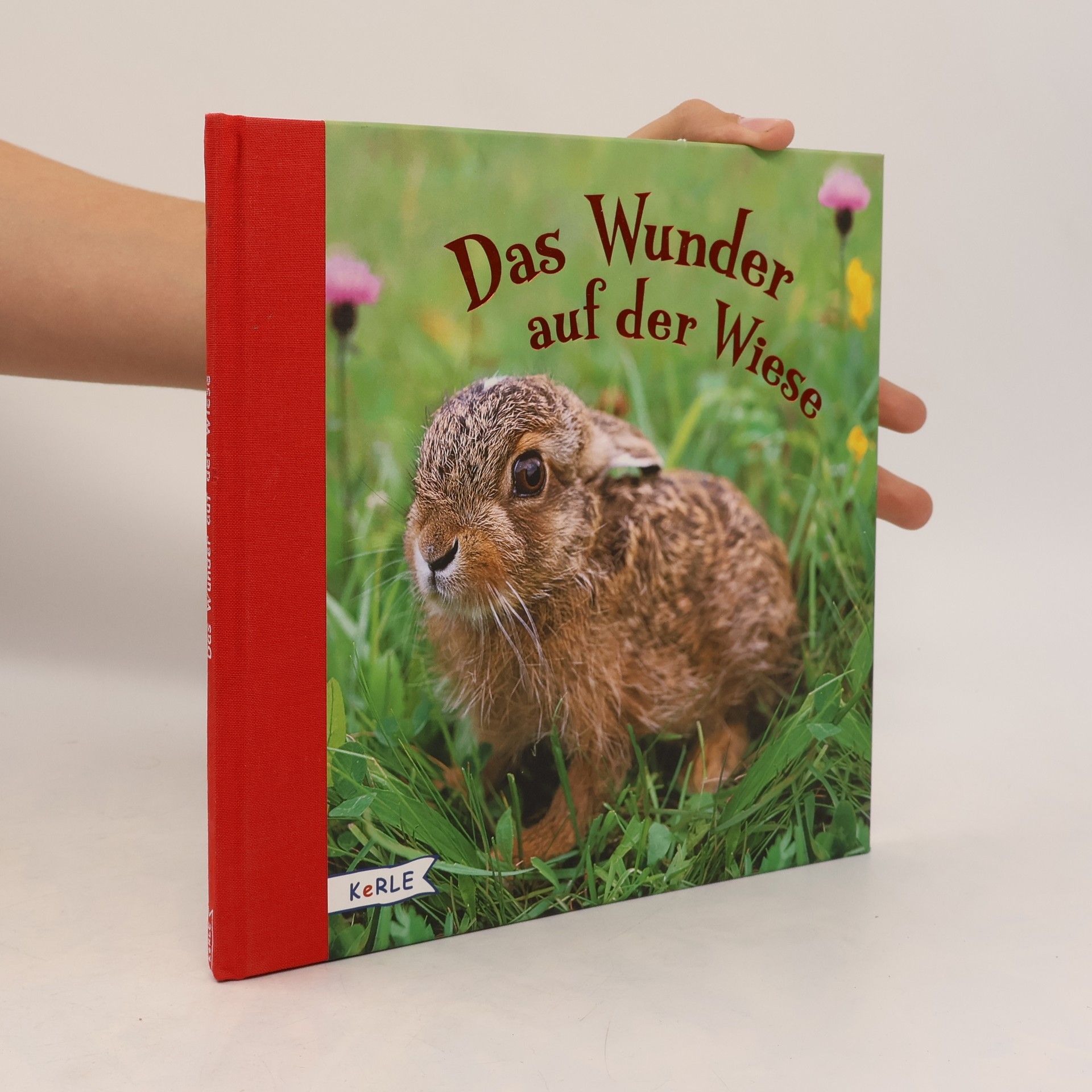 Ann-Katrin Heger Das Wunder auf der Wiese