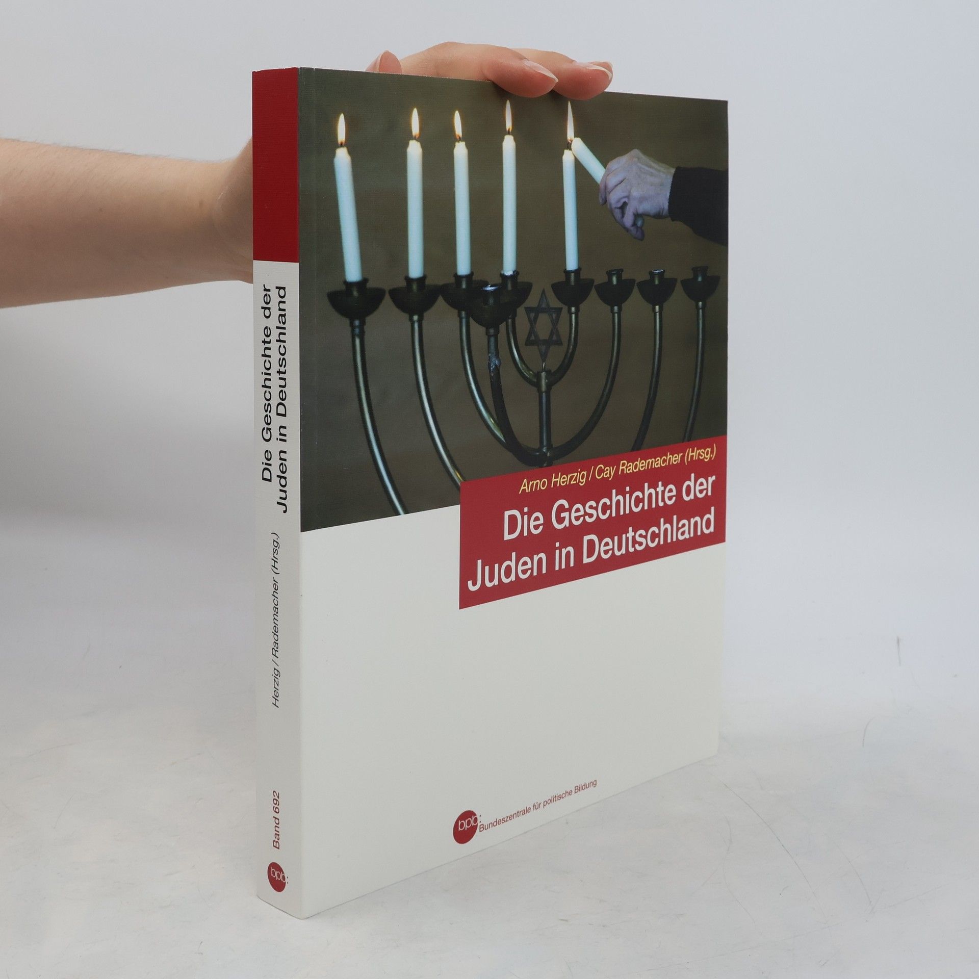 Arno Herzig Die Geschichte der Juden in Deutschland