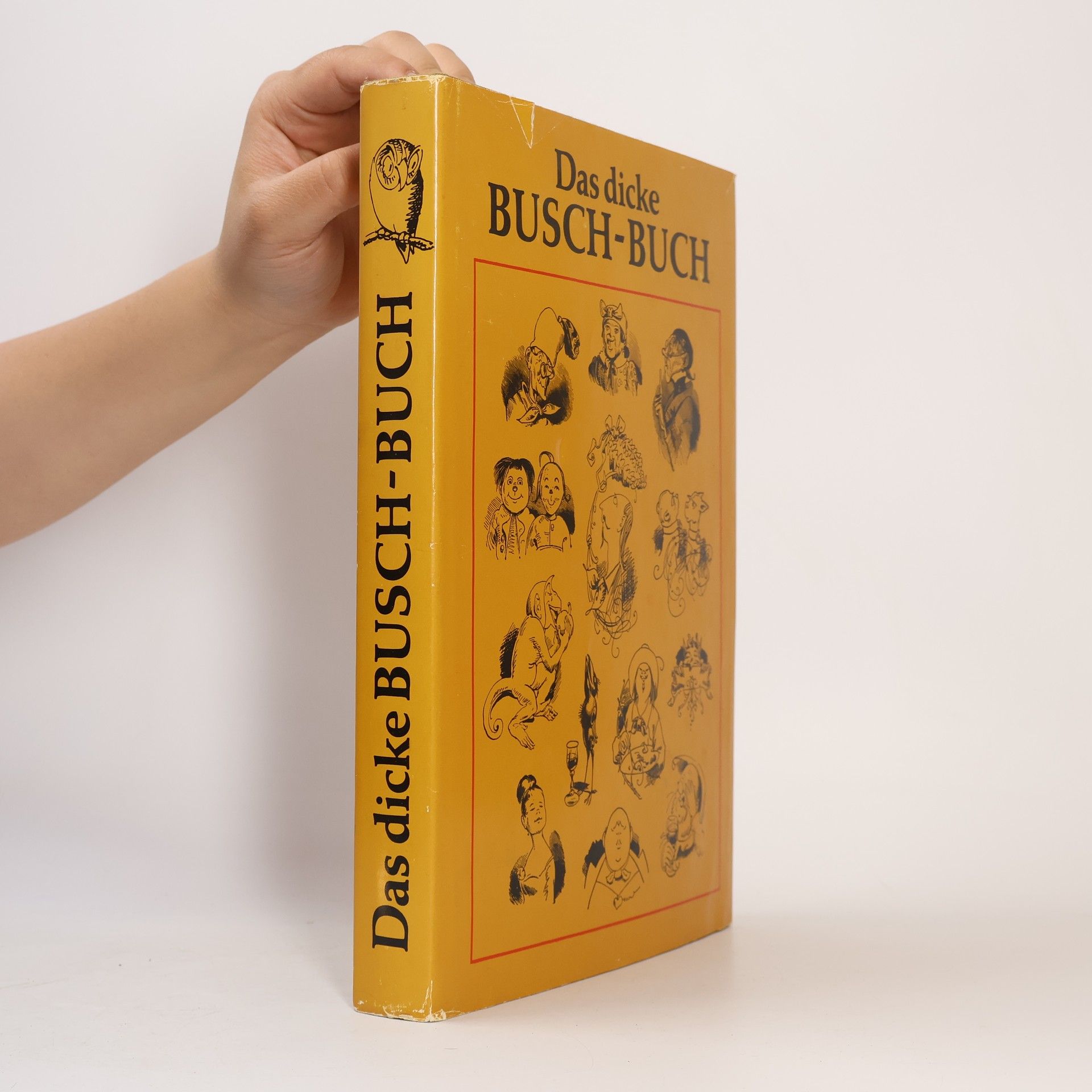 Autorenkollektiv Das dicke Busch-Buch
