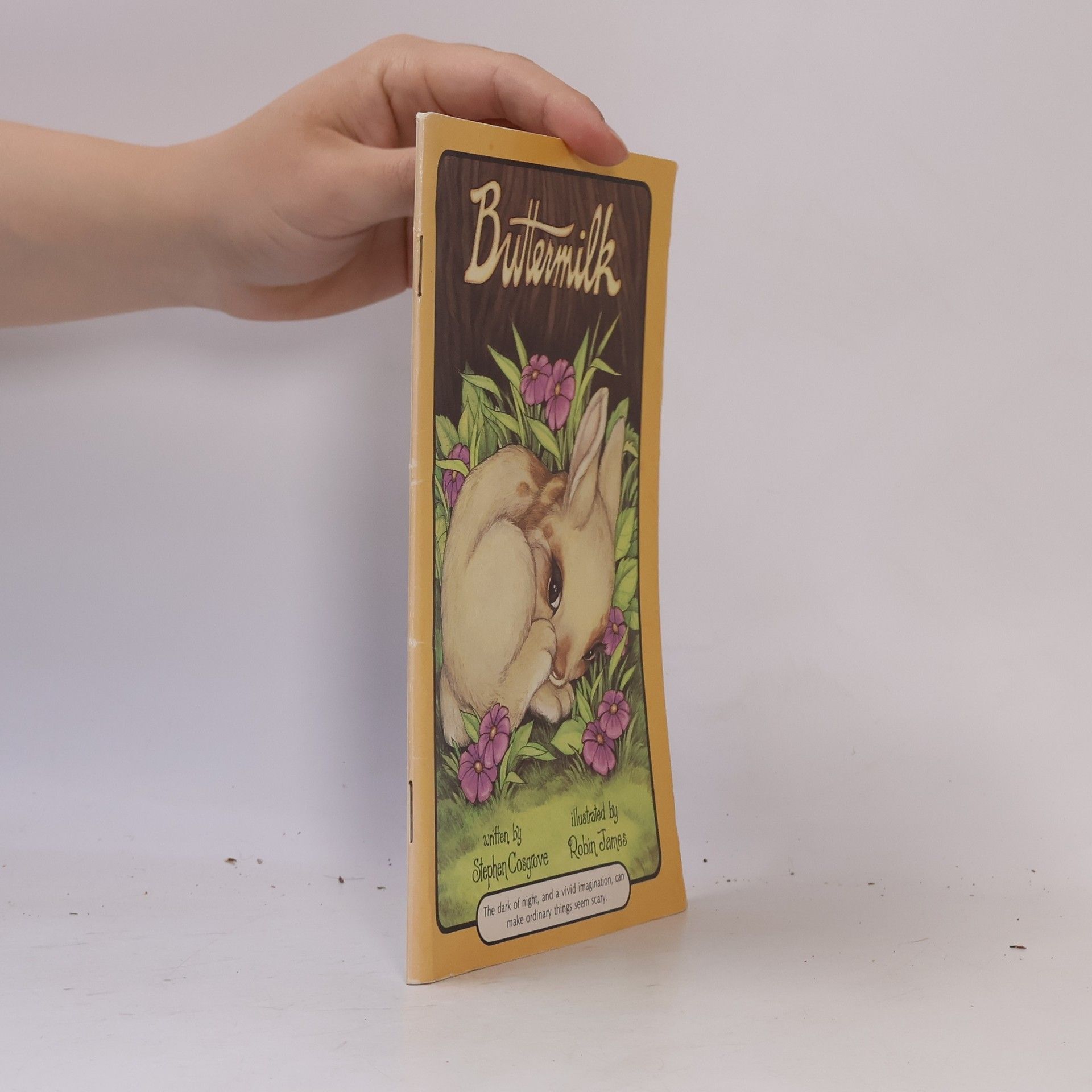 Robin James Serendipity Book: Buttermilk