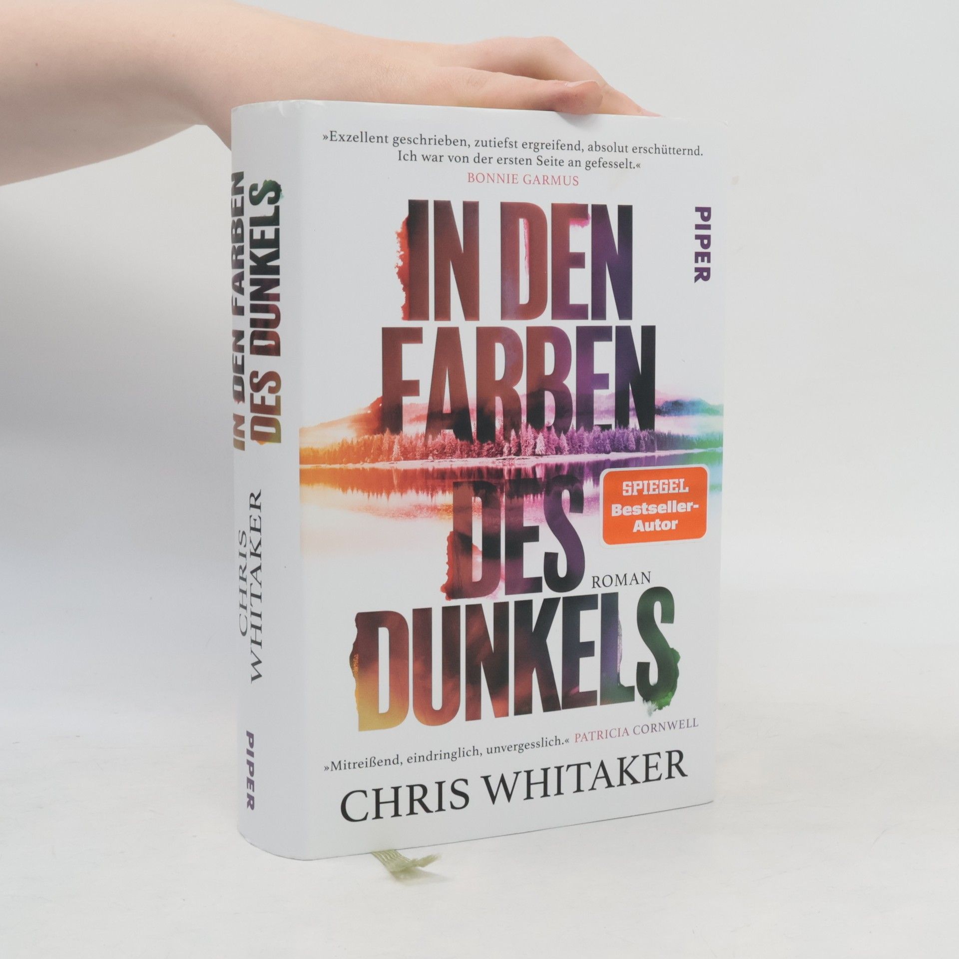 Chris Whitaker In den Farben des Dunkels