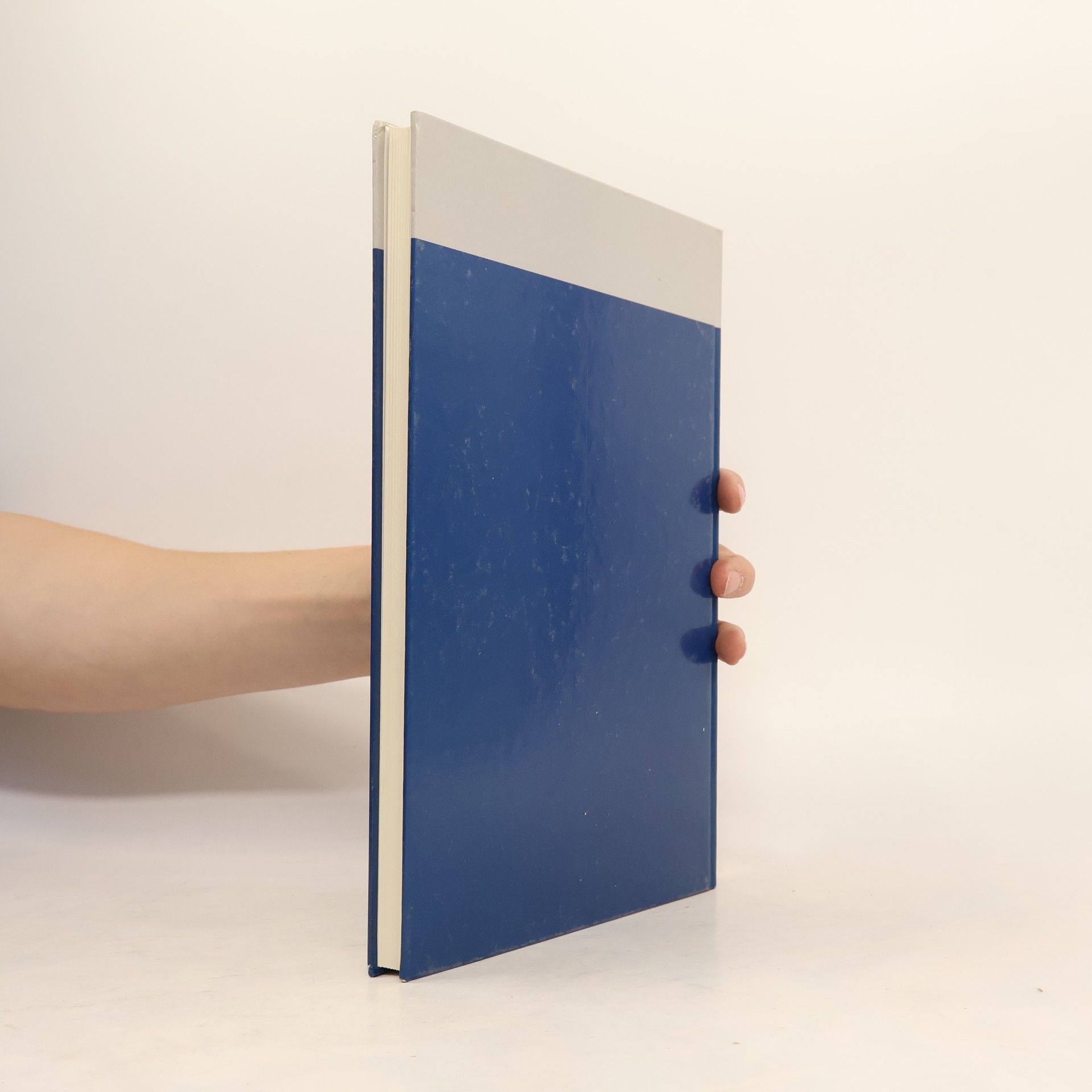 Hanna Jenni Aegyptiaca Helvetica - 16: Das Grab Ramses' X. (KV 18)