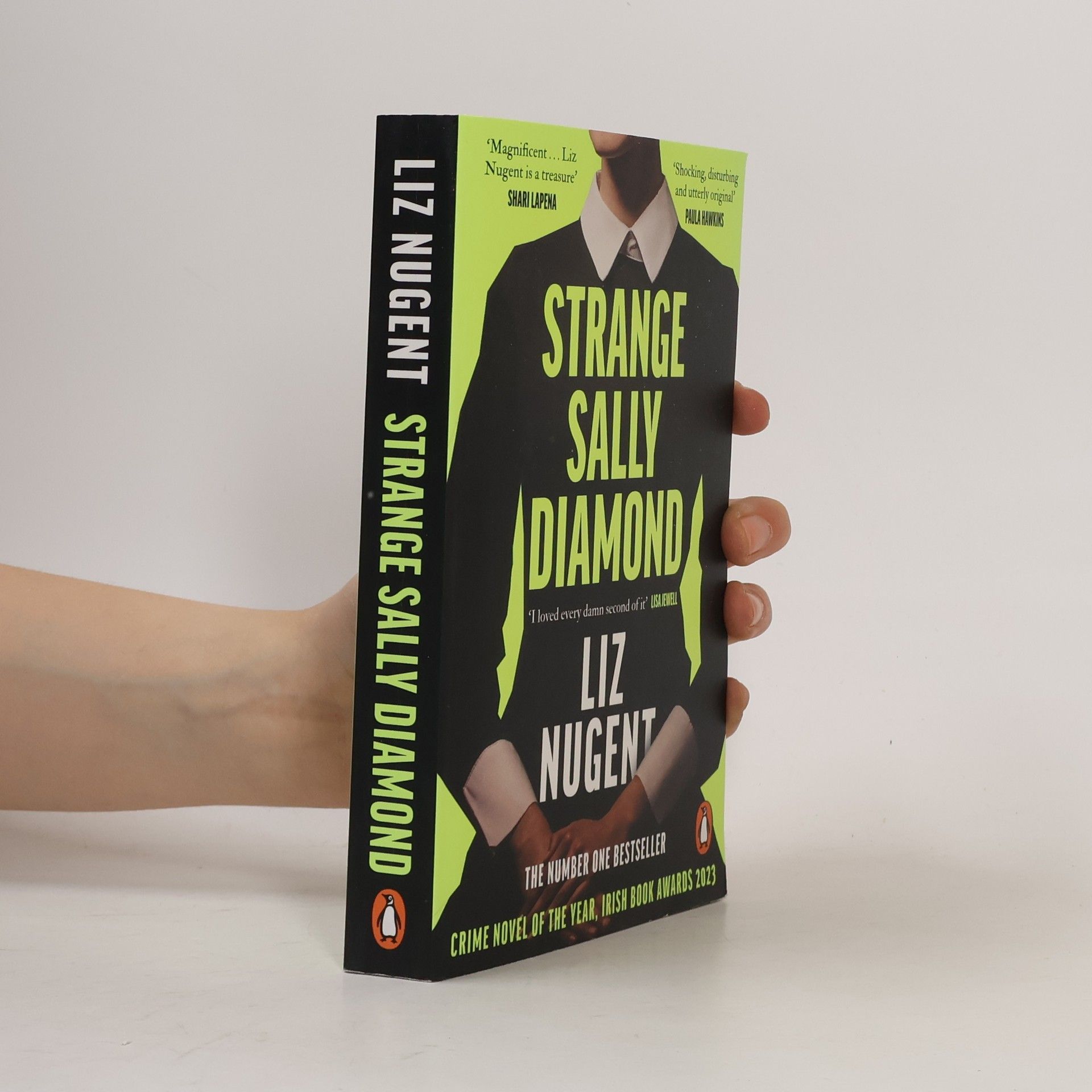 Liz Nugent Strange Sally Diamond