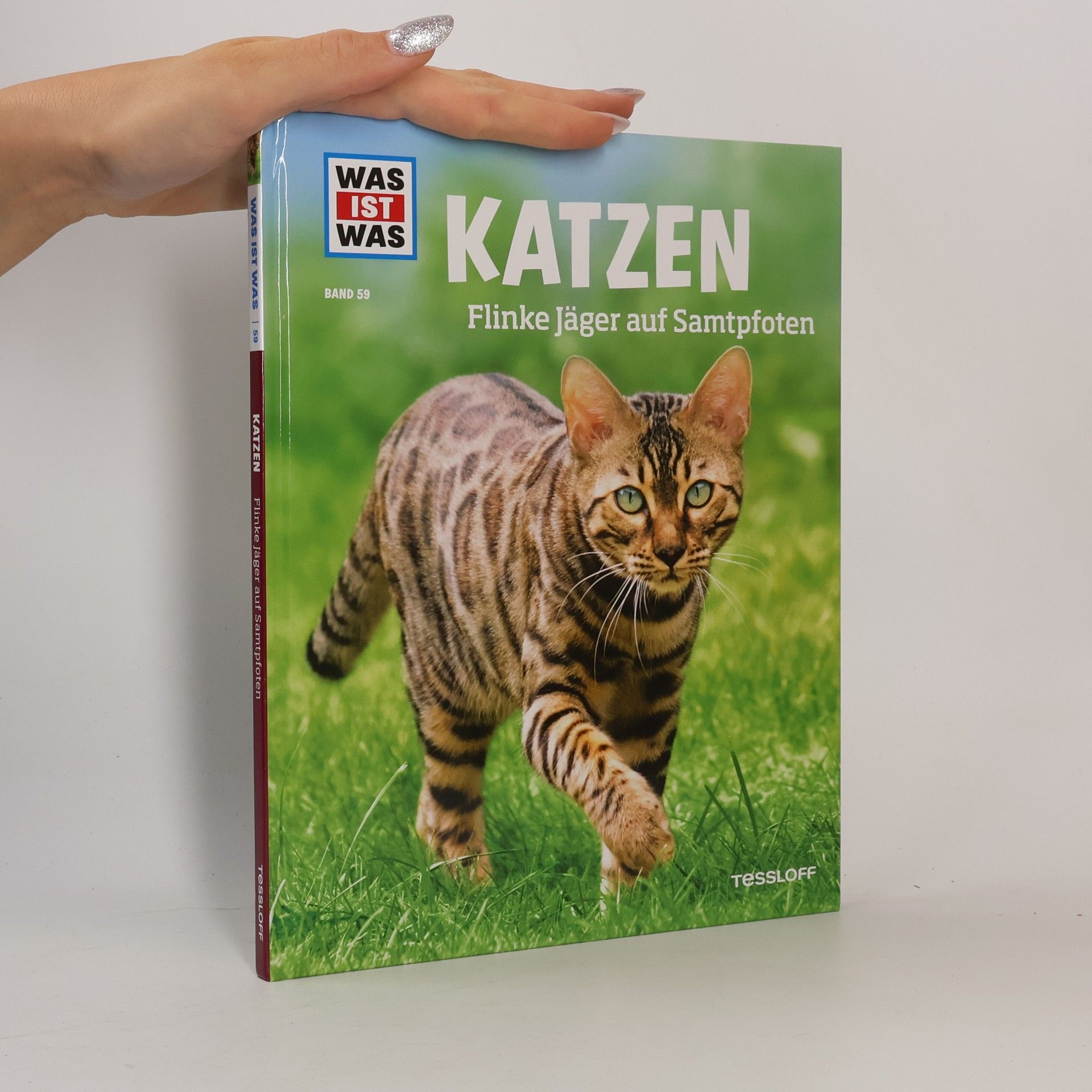 Jutta Aurahs Katzen