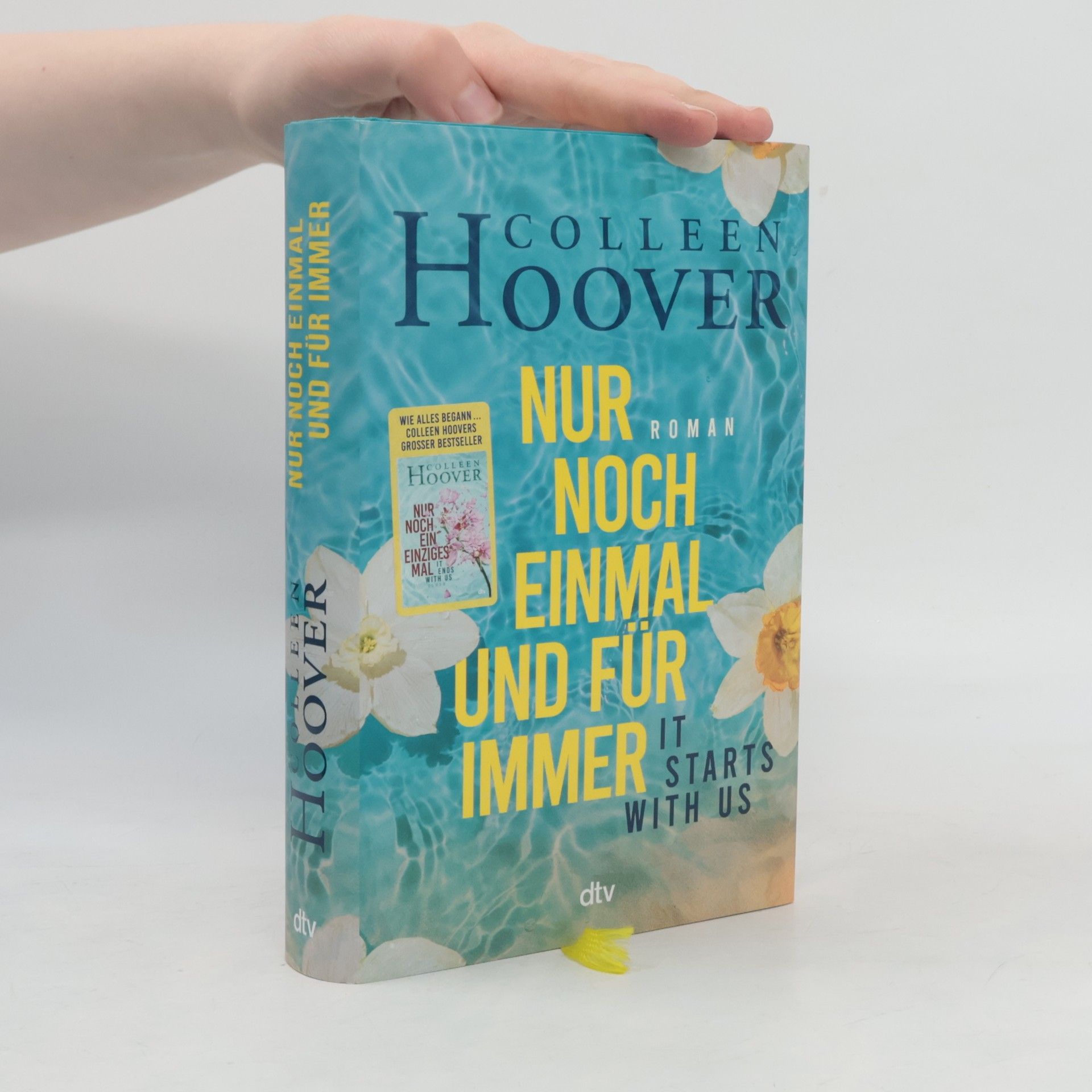 Colleen Hoover Nur noch einmal und für immer