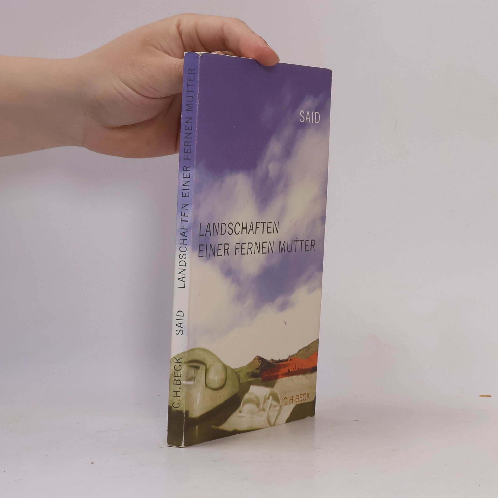 Edward Said Landschaften einer fernen Mutter