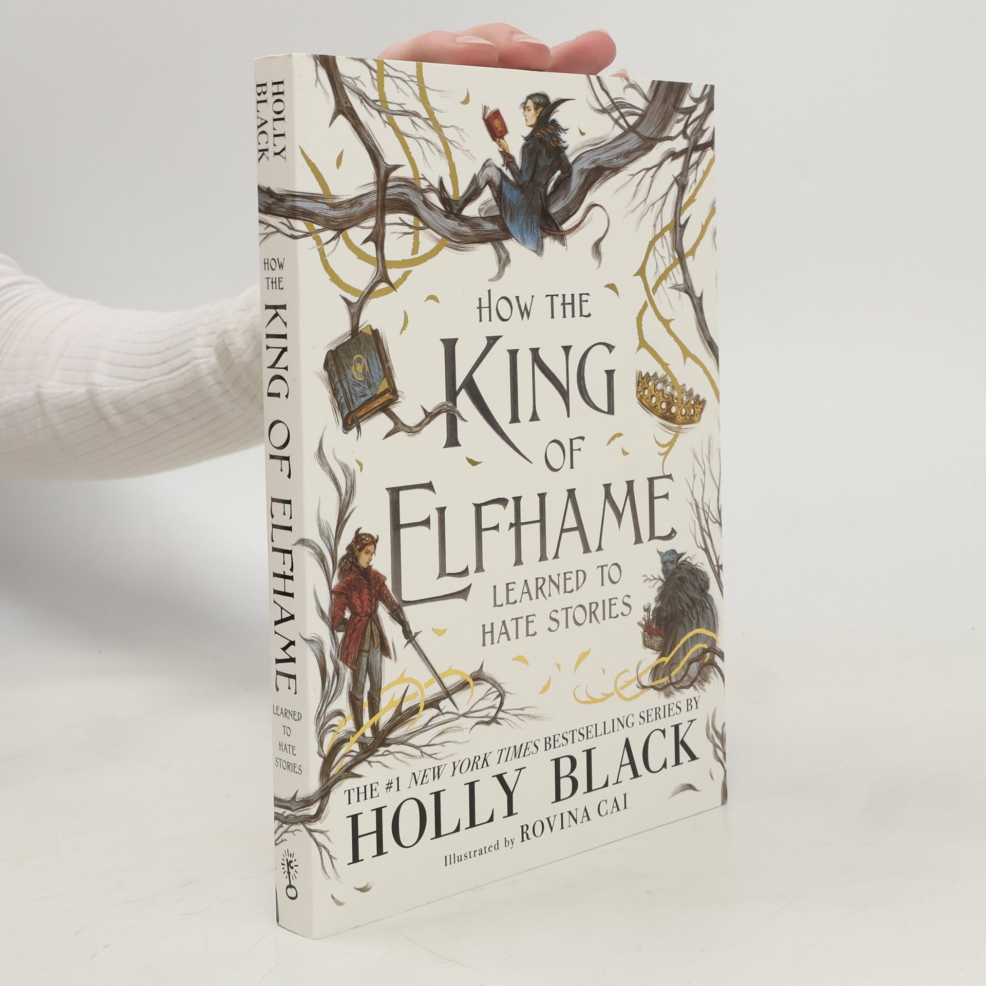 Holly Black How the King of Elfhame learned to hate stories