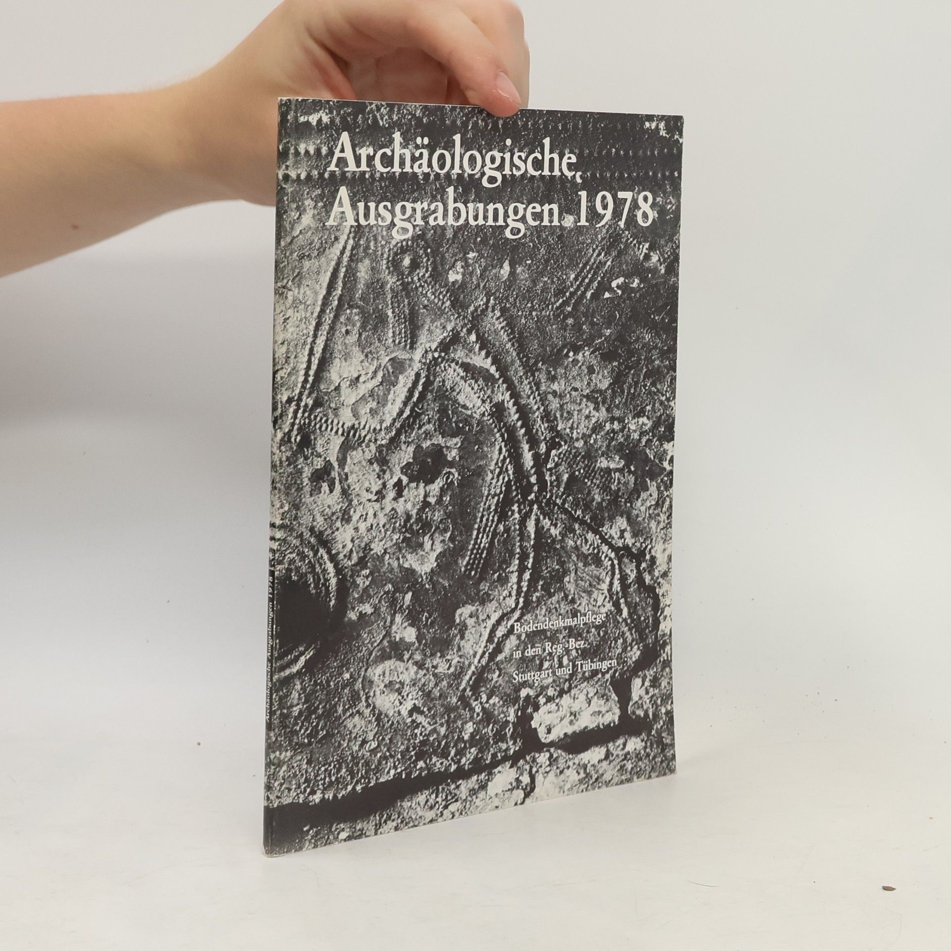 Autorenkollektiv Archäologische Ausgrabungen 1978