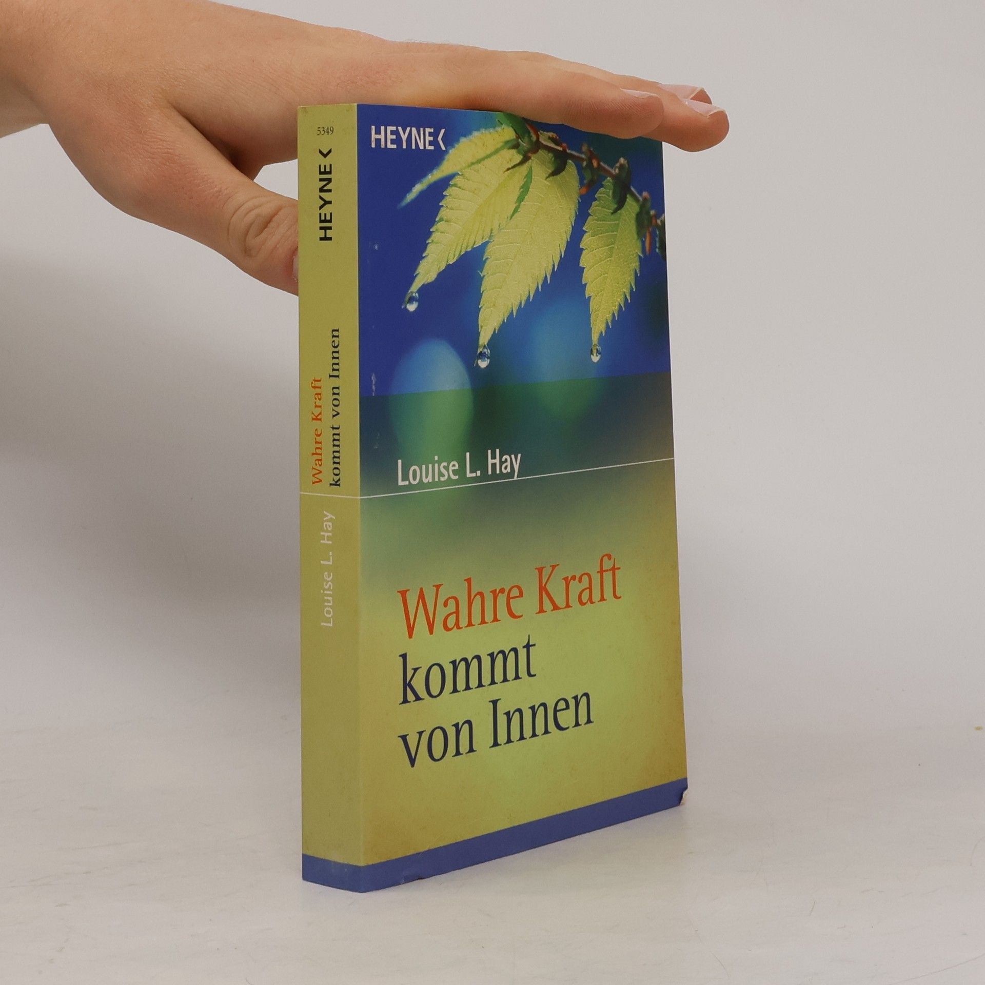 Lousie L. Hay Wahre Kraft kommt von innen