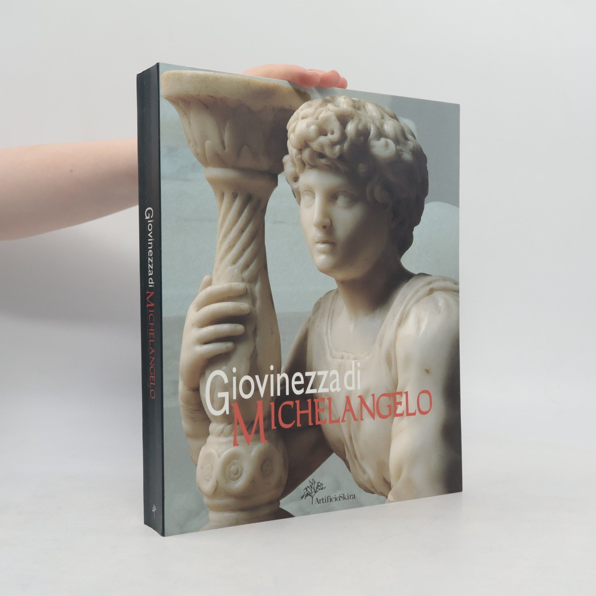 Michelangelo Buonarroti Giovinezza di Michelangelo