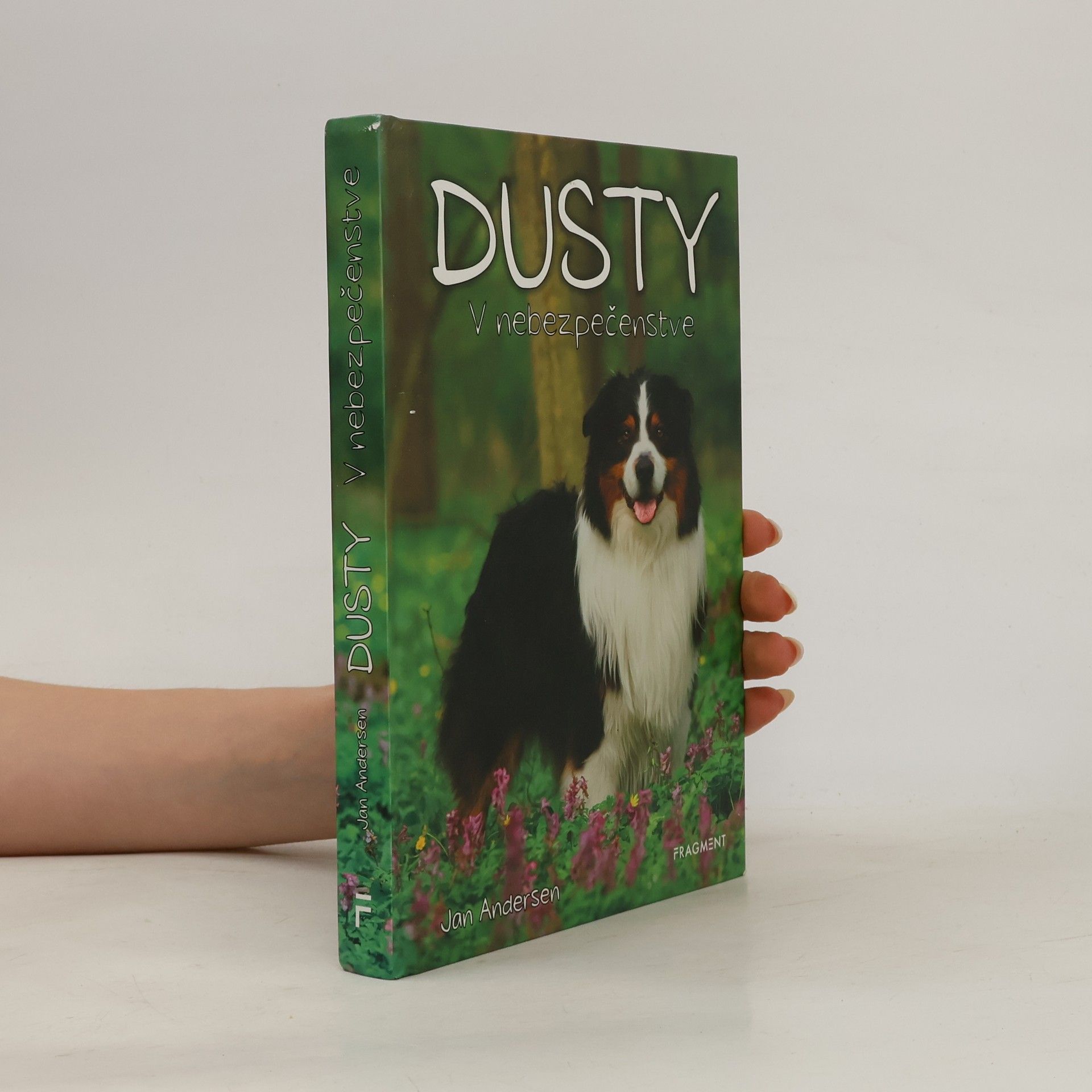 Wolfram Hänel Dusty: V nebezpečenstve