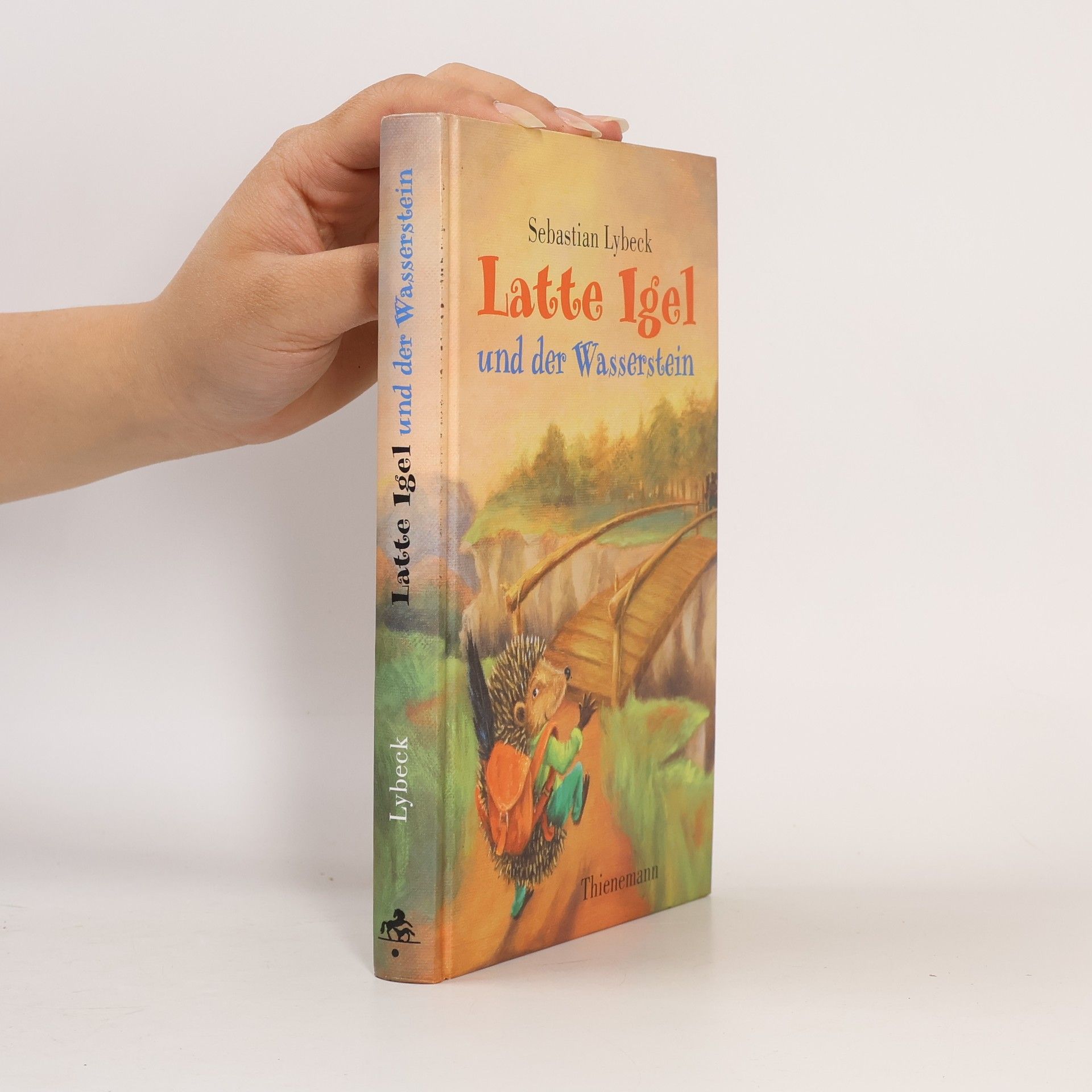 Sebastian Lybeck Latte Igel und der Wasserstein