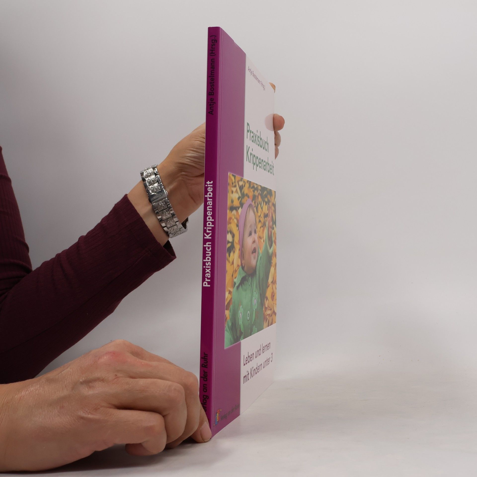 Antje Bostelmann Praxisbuch Krippenarbeit